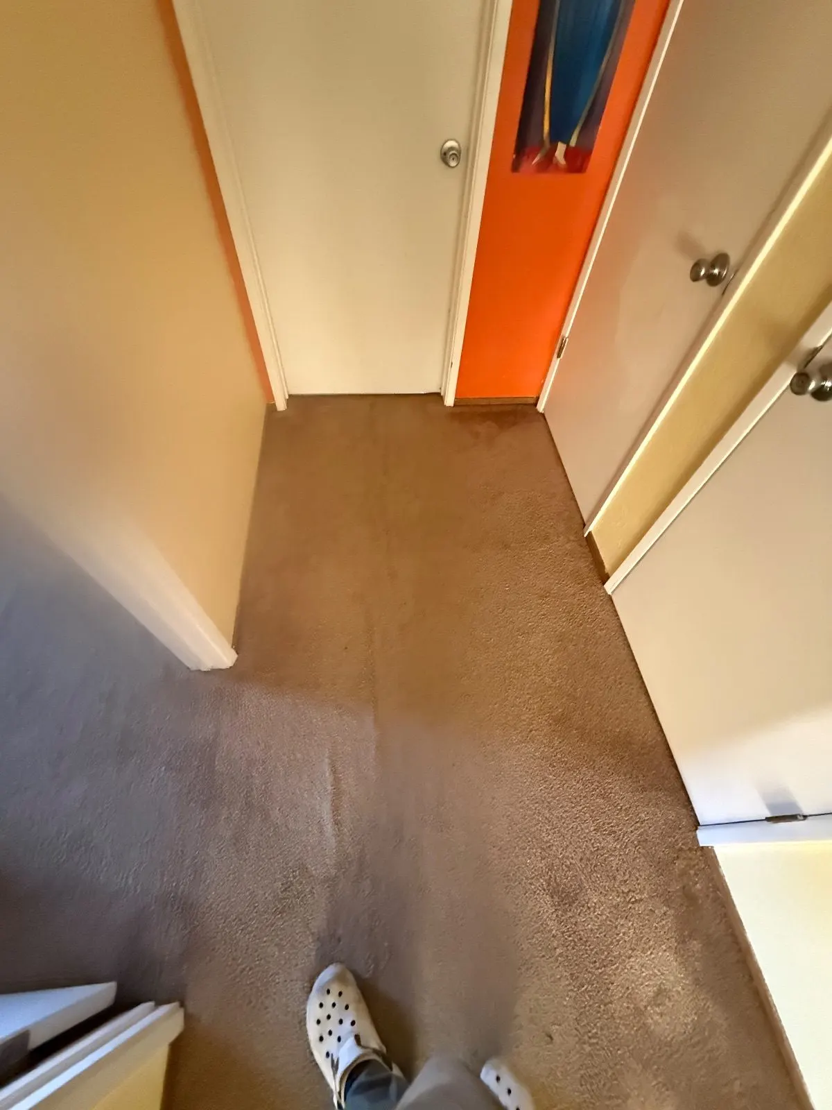 Before — Carpet Cleaning in Auburn, CA — October 2026