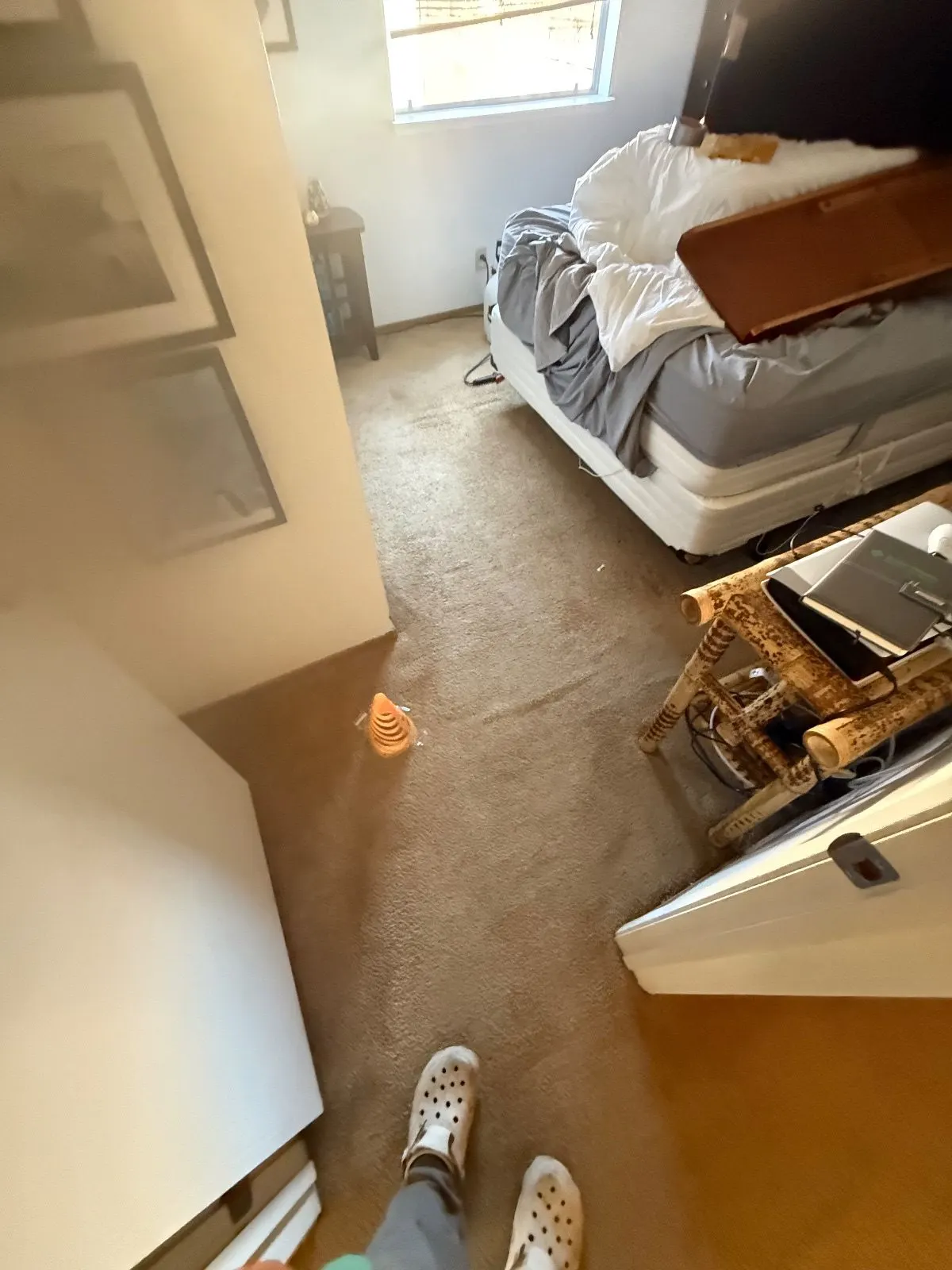 Before — Carpet Cleaning in Auburn, CA — October 2026