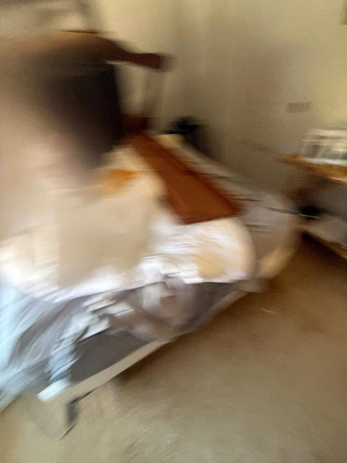 Before — Carpet Cleaning in Auburn, CA — October 2026