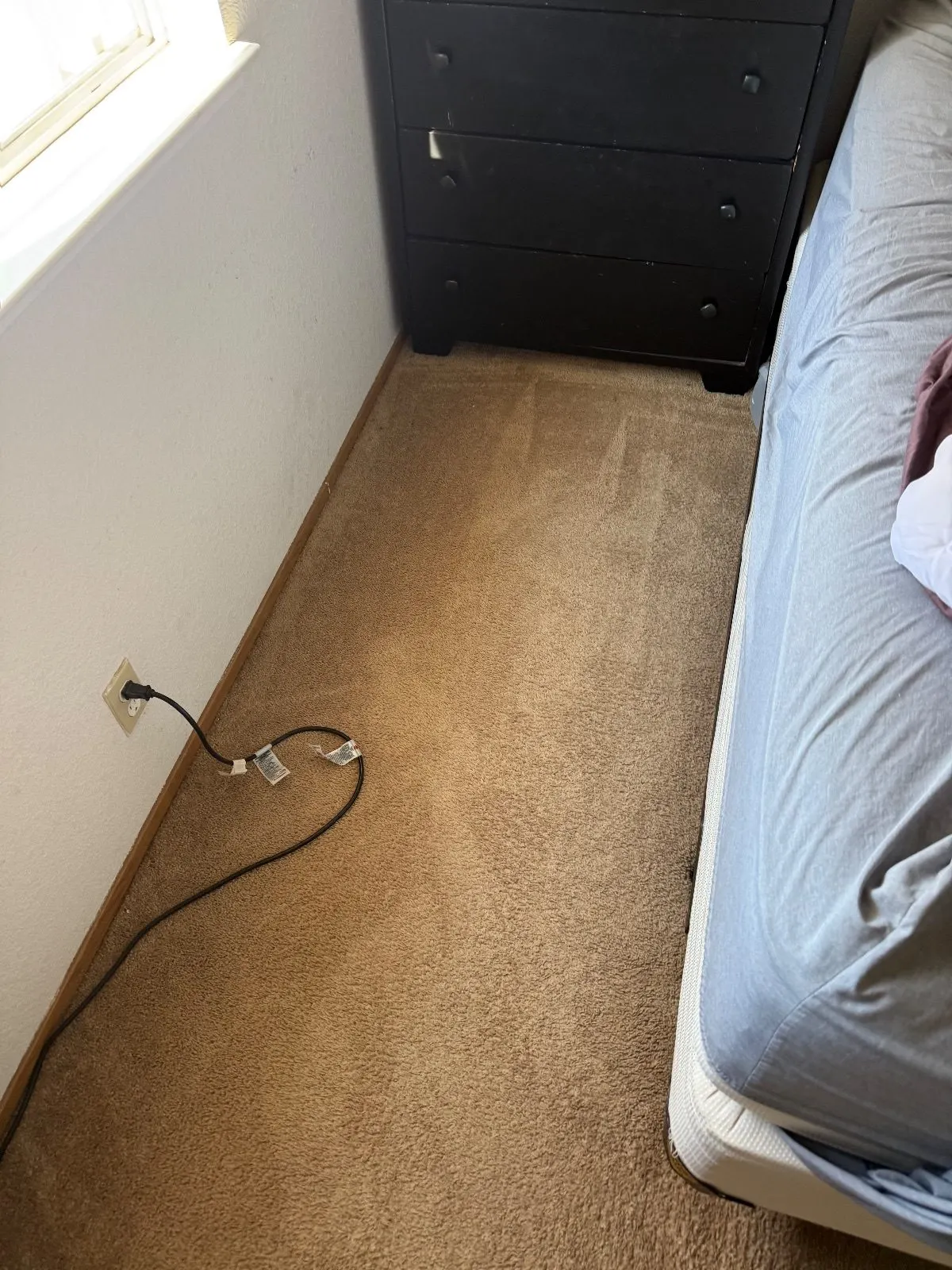 After — Carpet Cleaning in Auburn, CA — October 2026