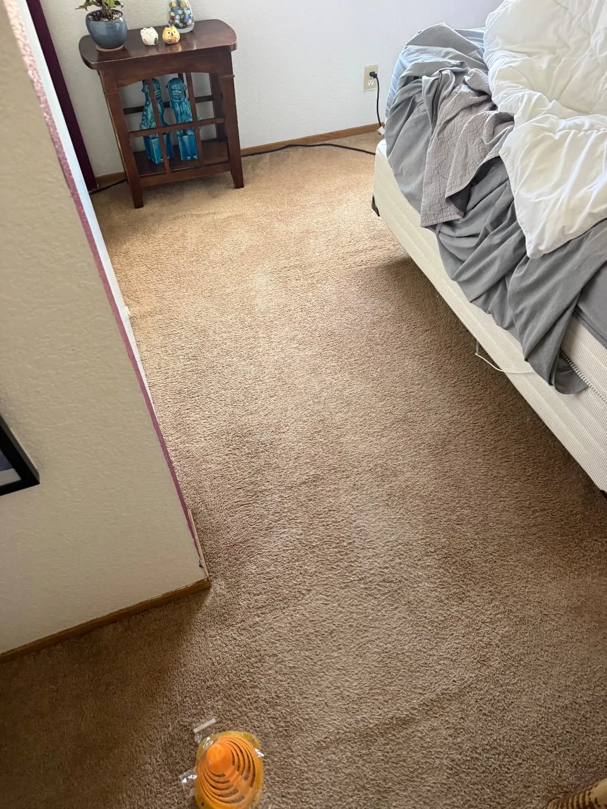 After — Carpet Cleaning in Auburn, CA — October 2026