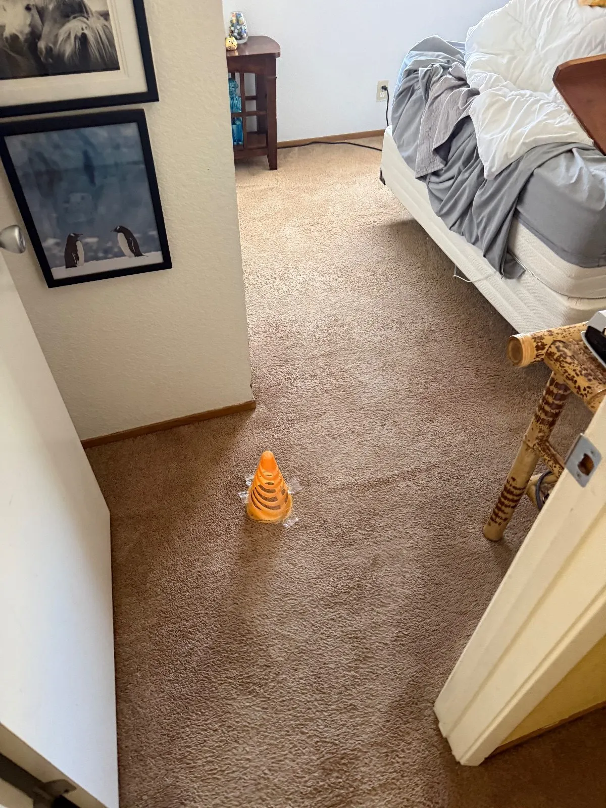 After — Carpet Cleaning in Auburn, CA — October 2026