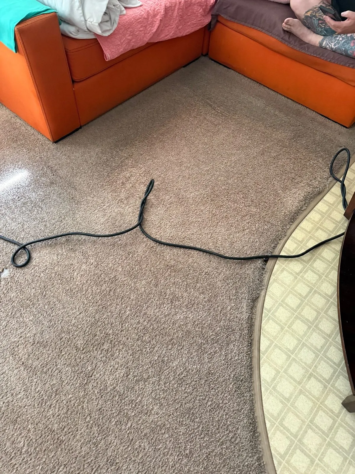 After — Carpet Cleaning in Auburn, CA — October 2026