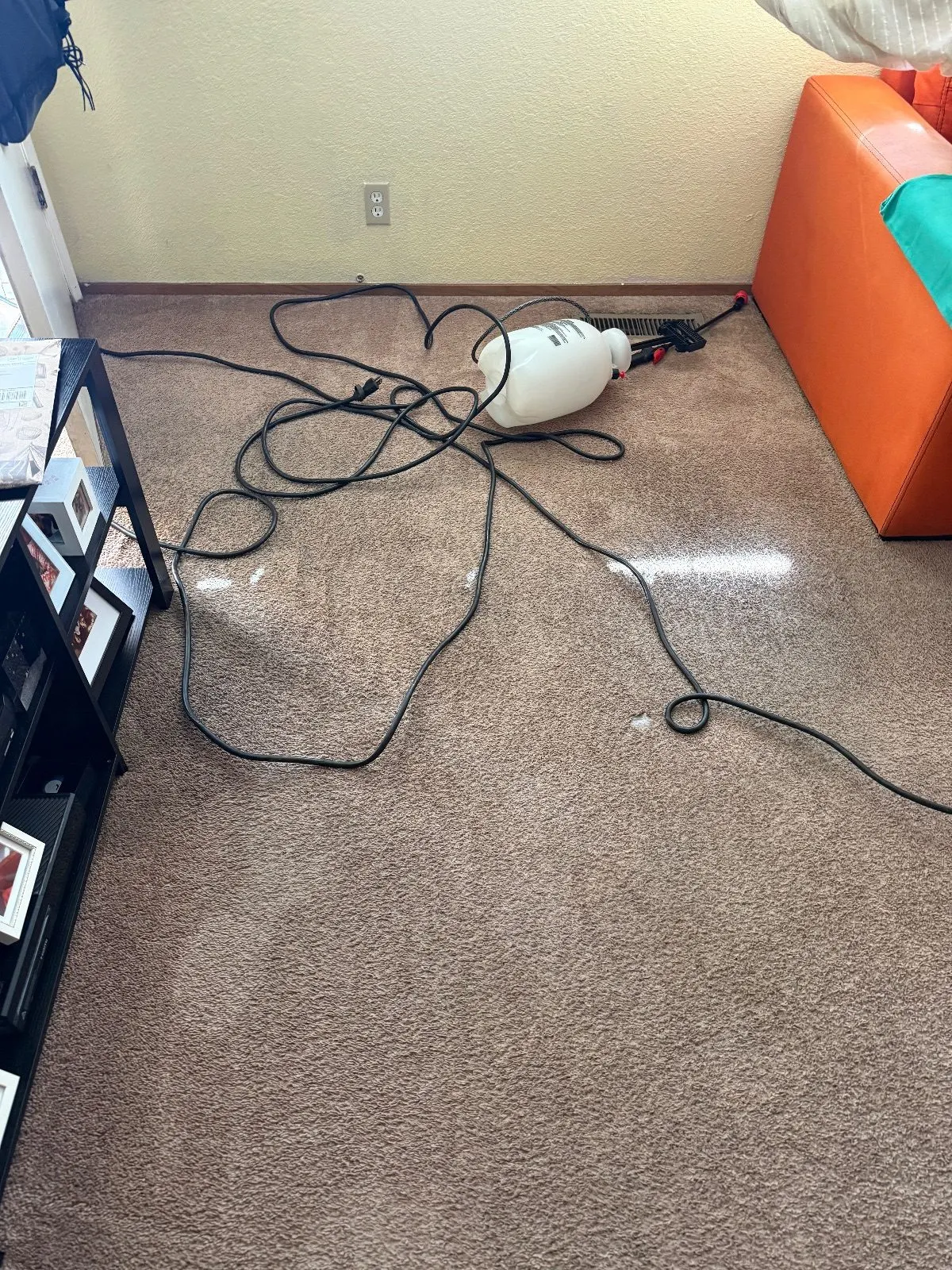 After — Carpet Cleaning in Auburn, CA — October 2026
