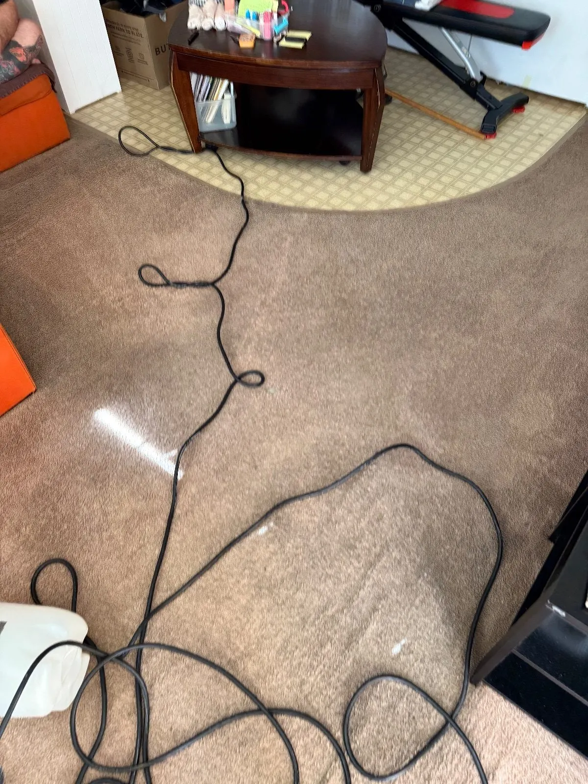 After — Carpet Cleaning in Auburn, CA — October 2026