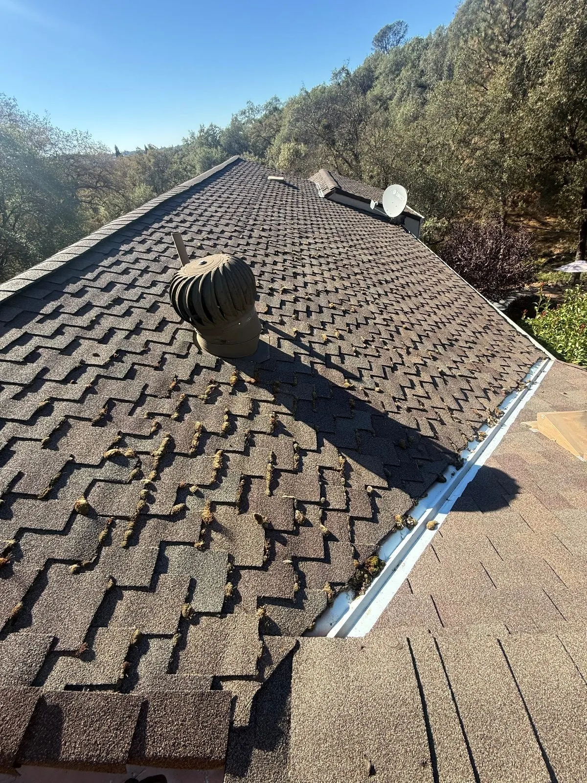Before — Gutter Cleaning and Maintenance in Auburn, CA — October 2026