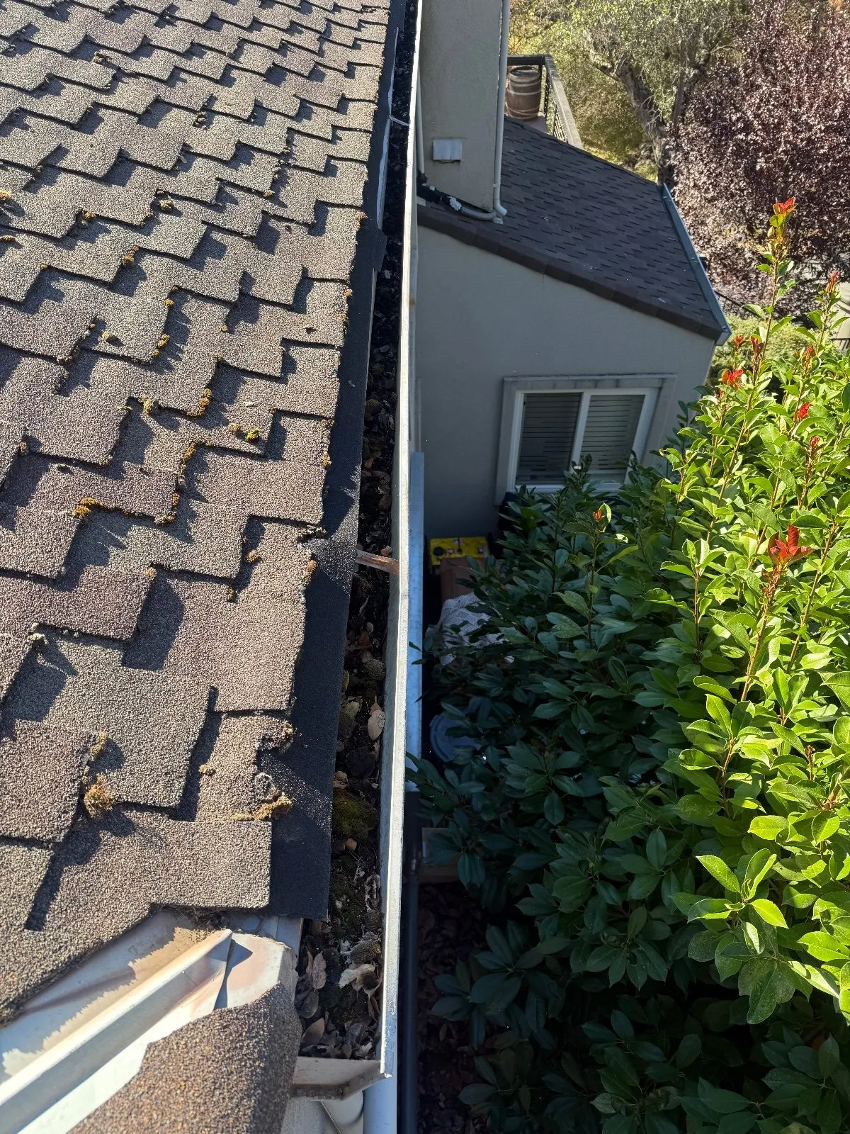 Before — Gutter Cleaning and Maintenance in Auburn, CA — October 2026