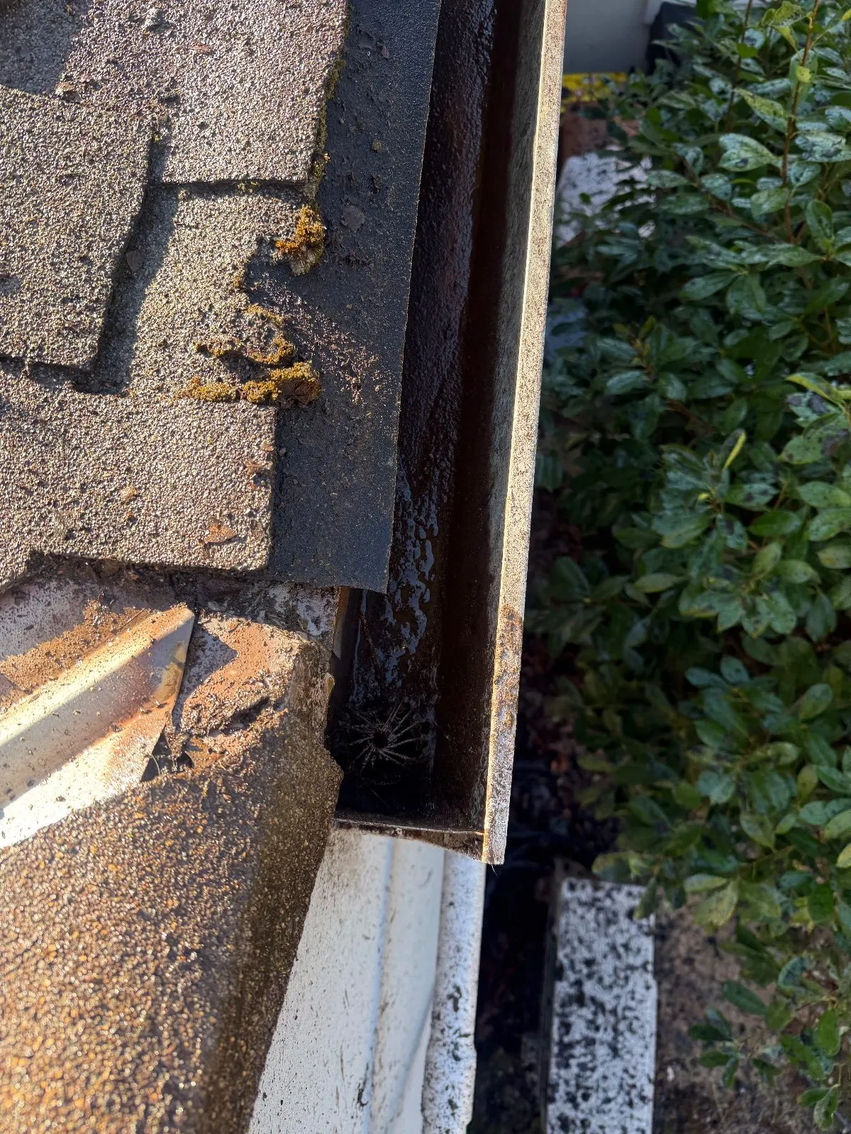 After — Gutter Cleaning and Maintenance in Auburn, CA — October 2026