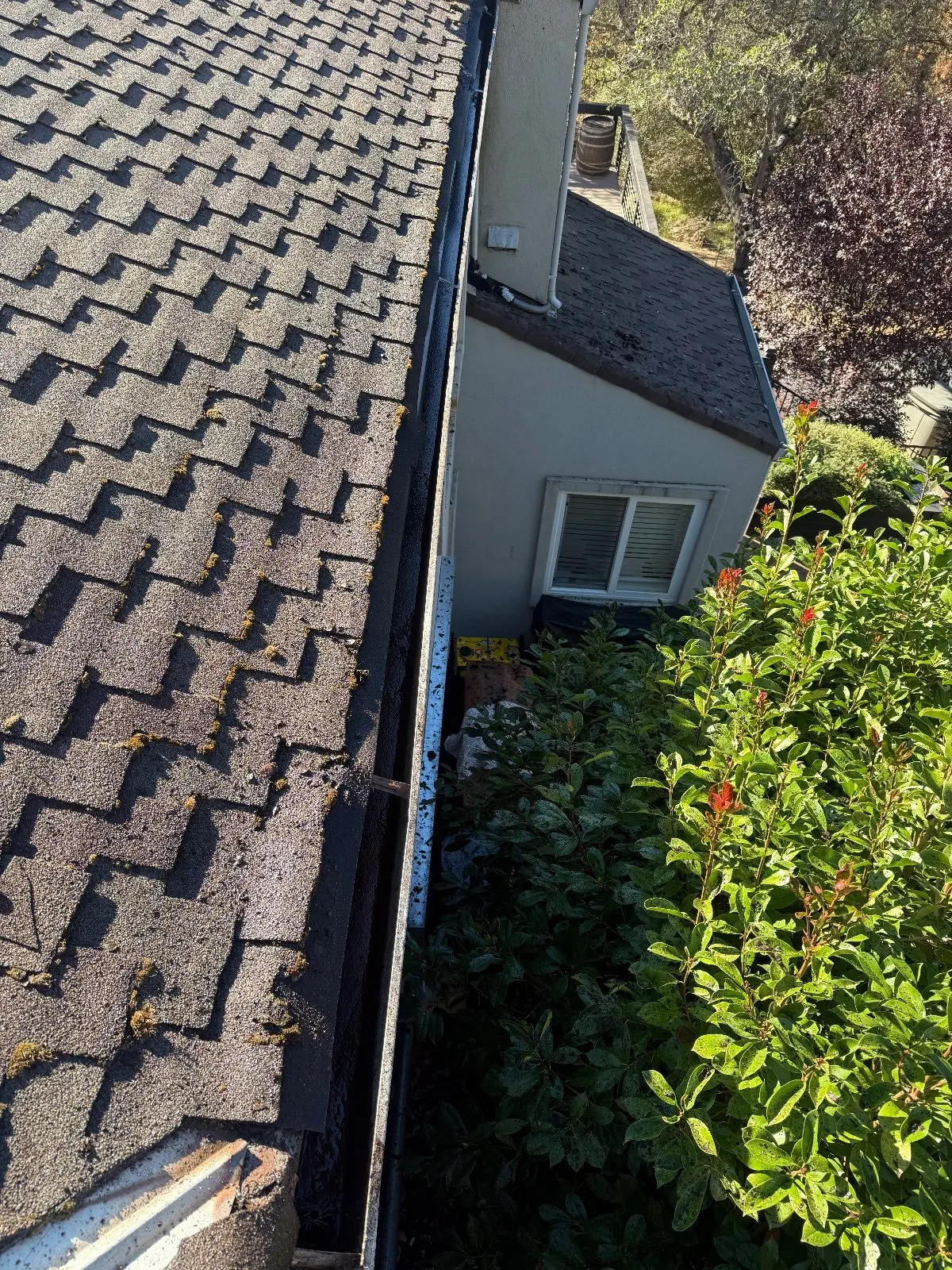 After — Gutter Cleaning and Maintenance in Auburn, CA — October 2026