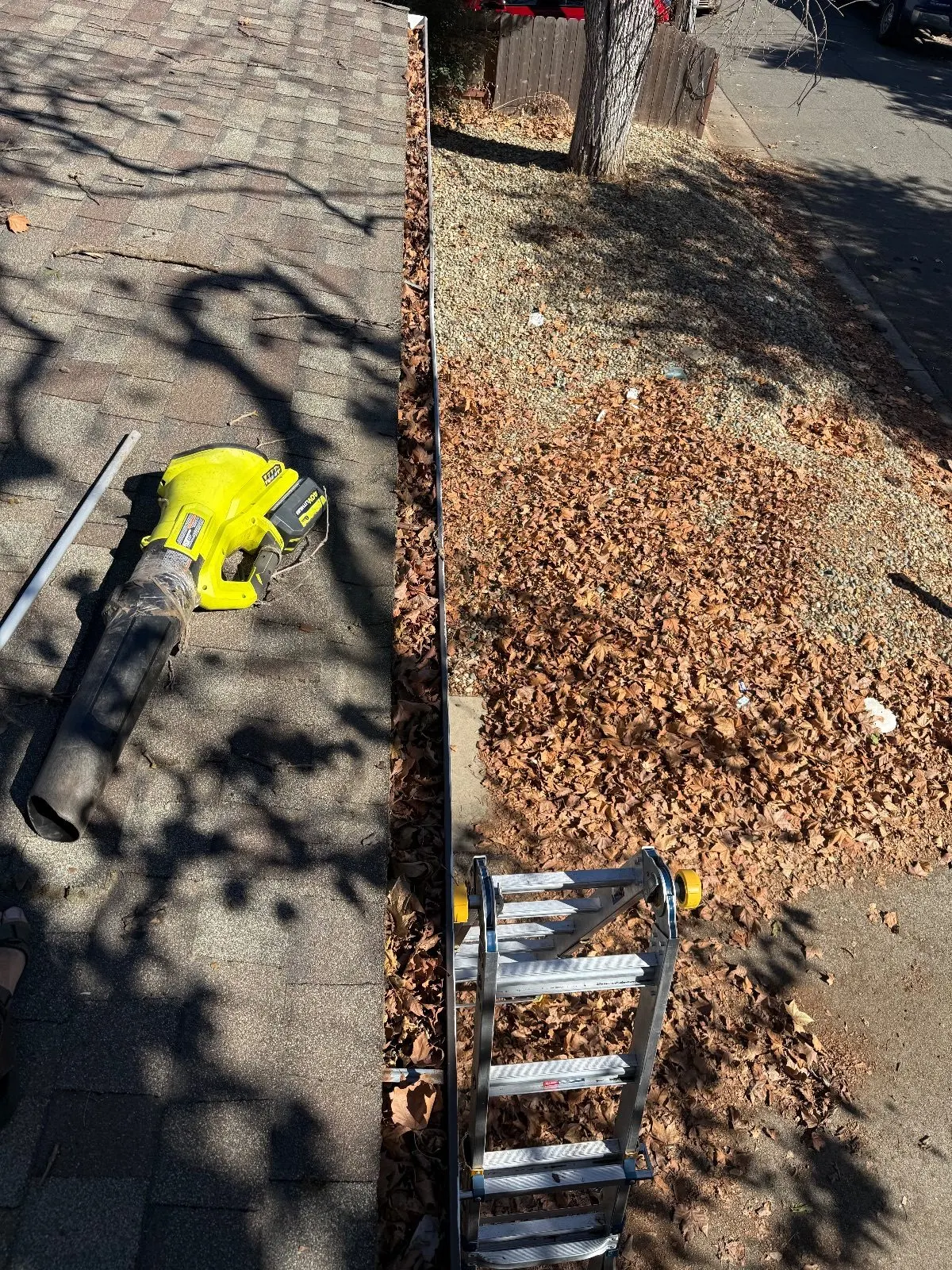 Before — Gutter Cleaning and Maintenance in Sacramento, CA — October 2026