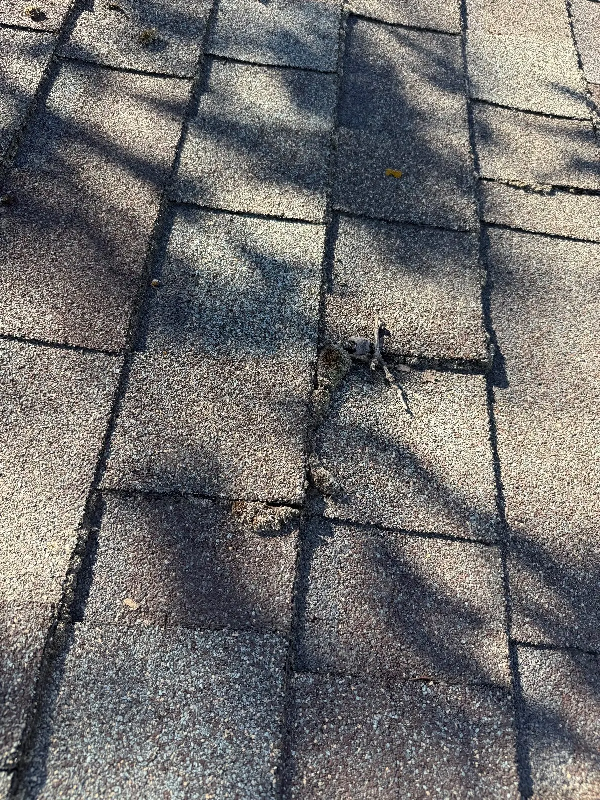 Before — Gutter Cleaning and Maintenance in Sacramento, CA — October 2026