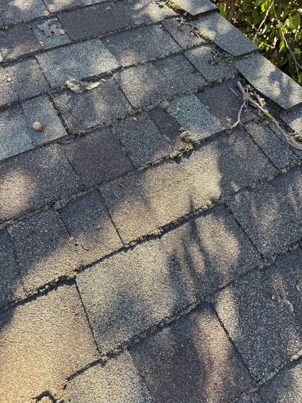 Before — Gutter Cleaning and Maintenance in Sacramento, CA — October 2026