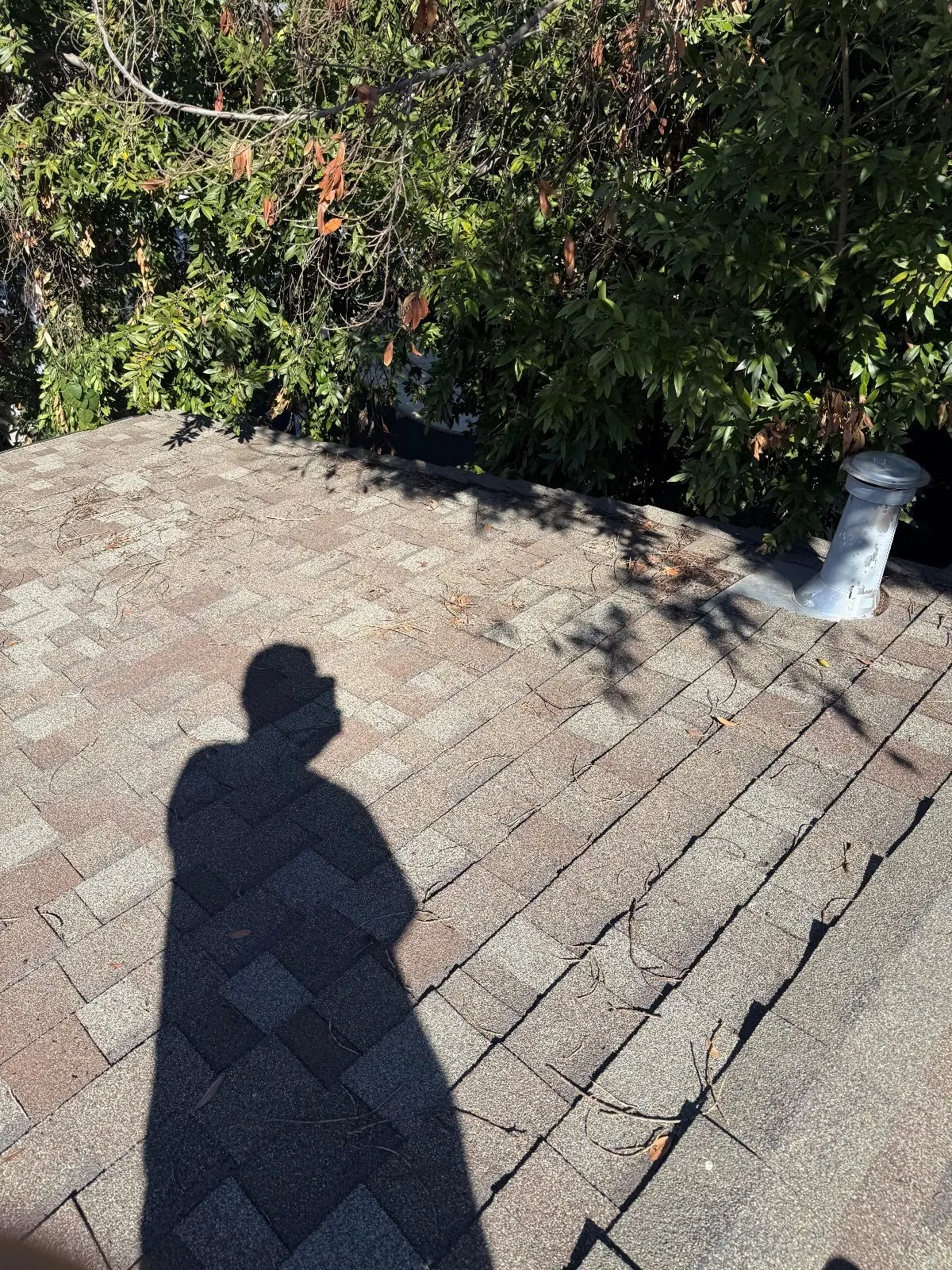 After — Gutter Cleaning and Maintenance in Sacramento, CA — October 2026