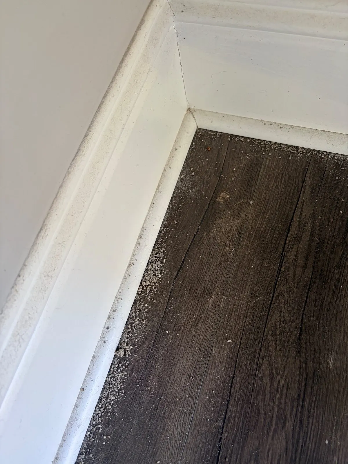 Before — House Cleaning in Sacramento, CA — October 2026