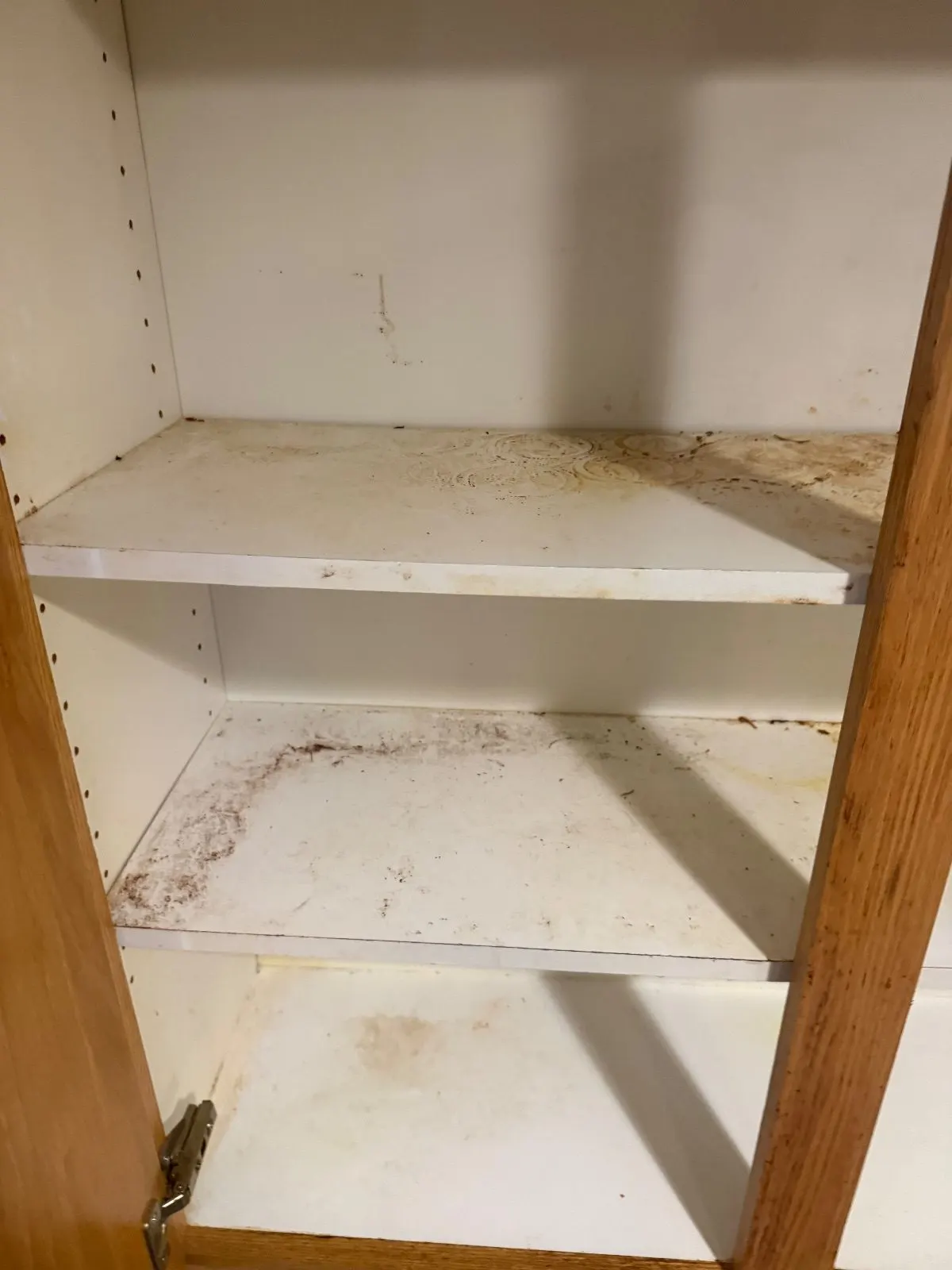 Before — House Cleaning in Sacramento, CA — October 2026
