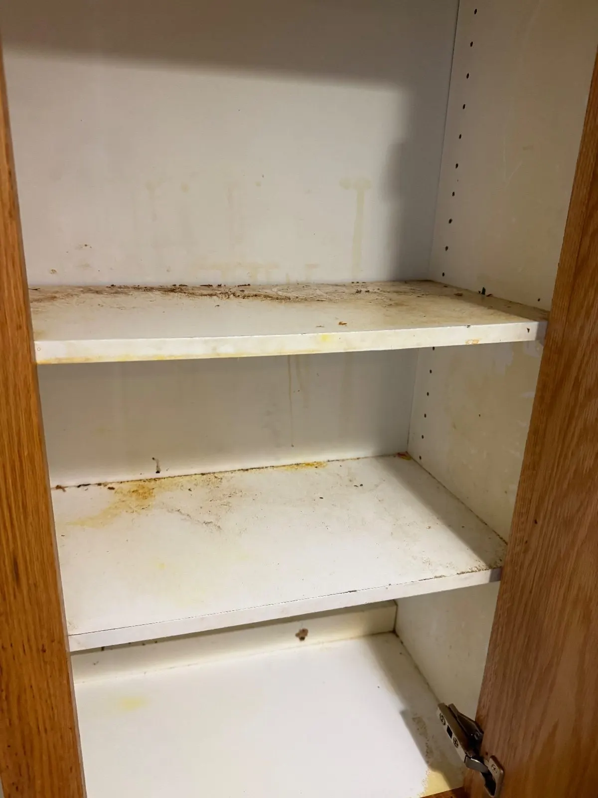 Before — House Cleaning in Sacramento, CA — October 2026