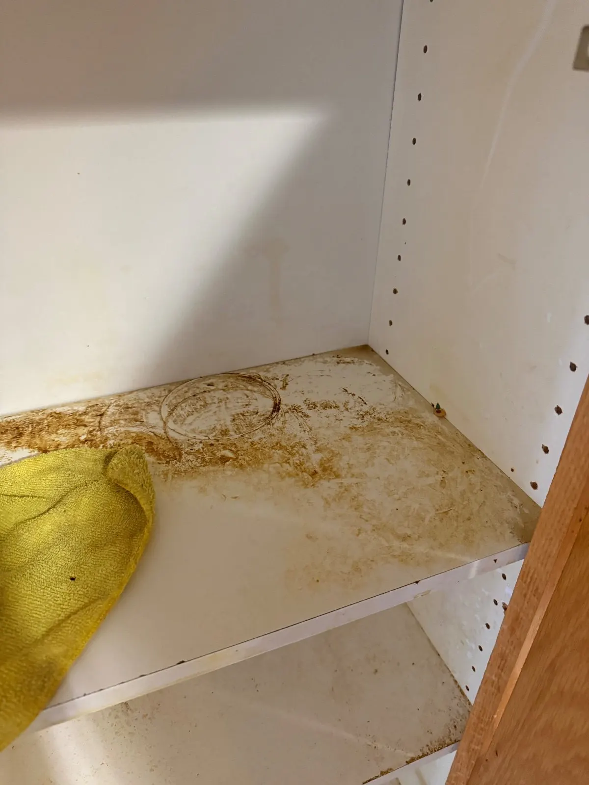 Before — House Cleaning in Sacramento, CA — October 2026