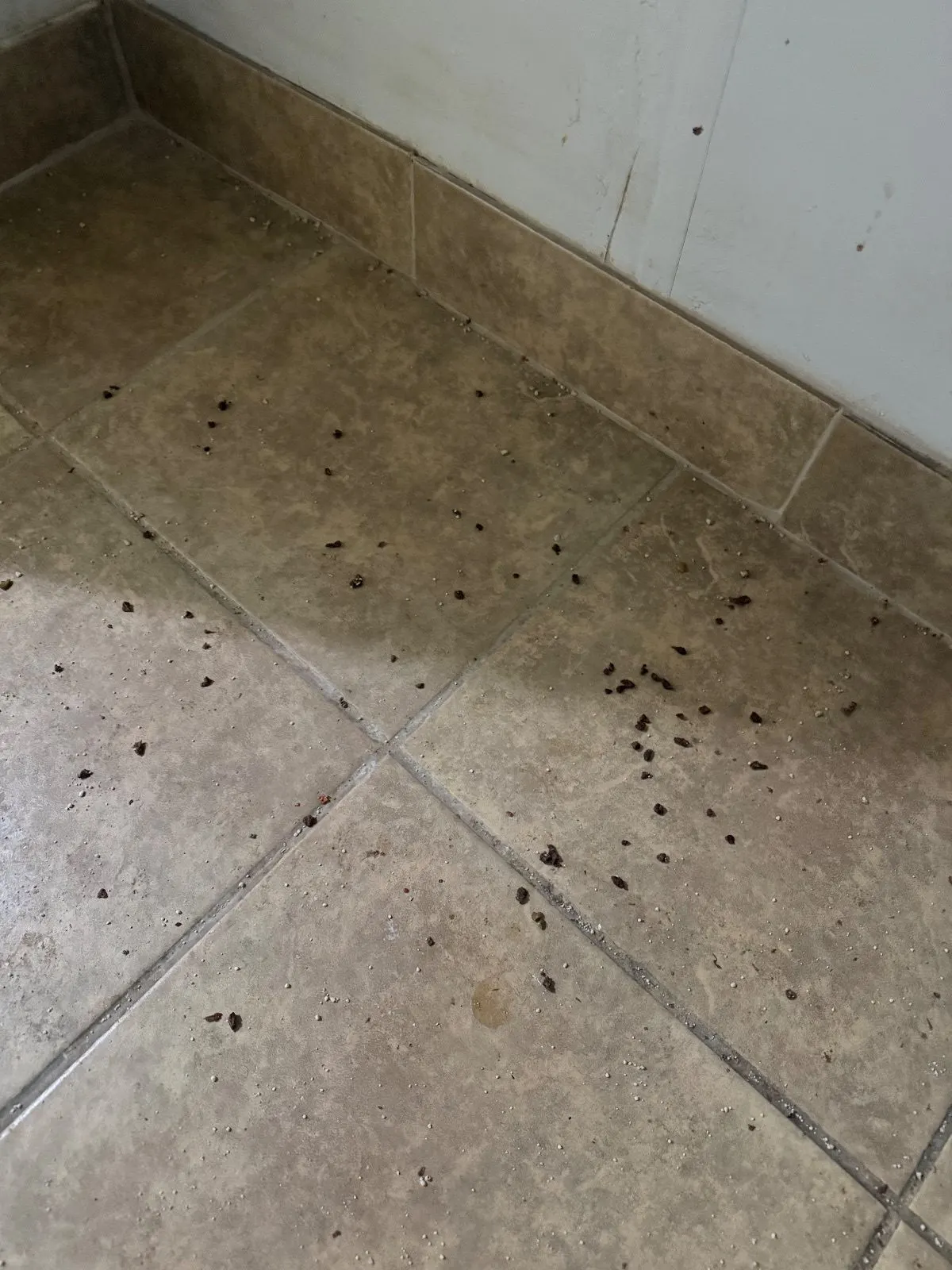 Before — House Cleaning in Sacramento, CA — October 2026