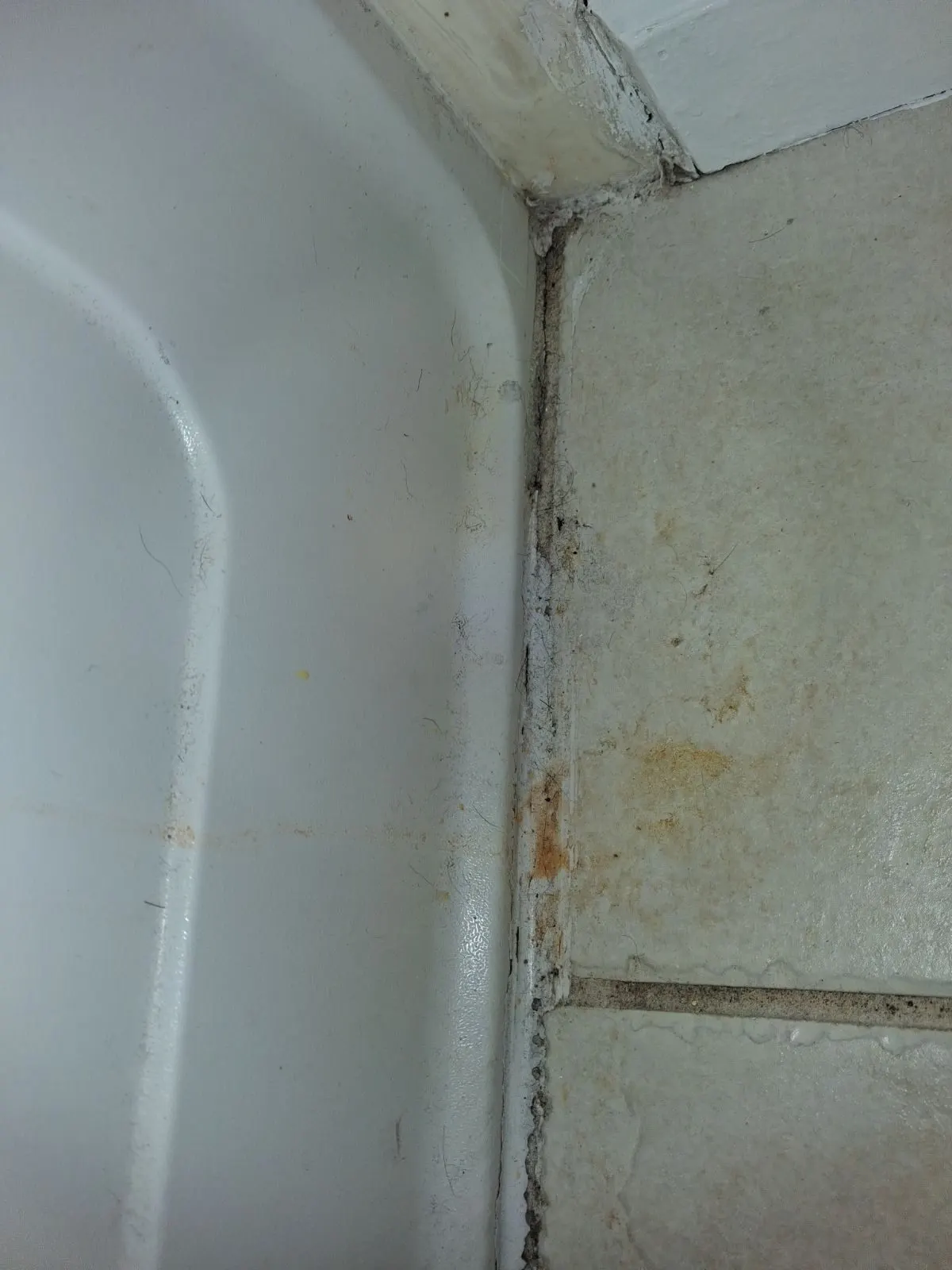 Before — House Cleaning in Sacramento, CA — October 2026