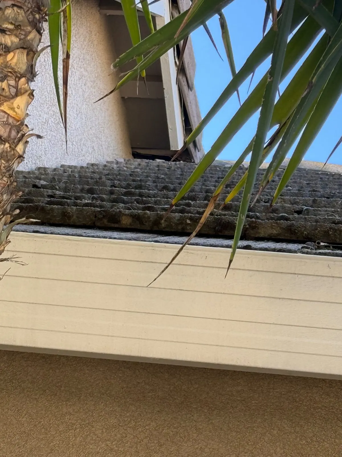 Before — Gutter Cleaning and Maintenance in Roseville, CA — October 2026