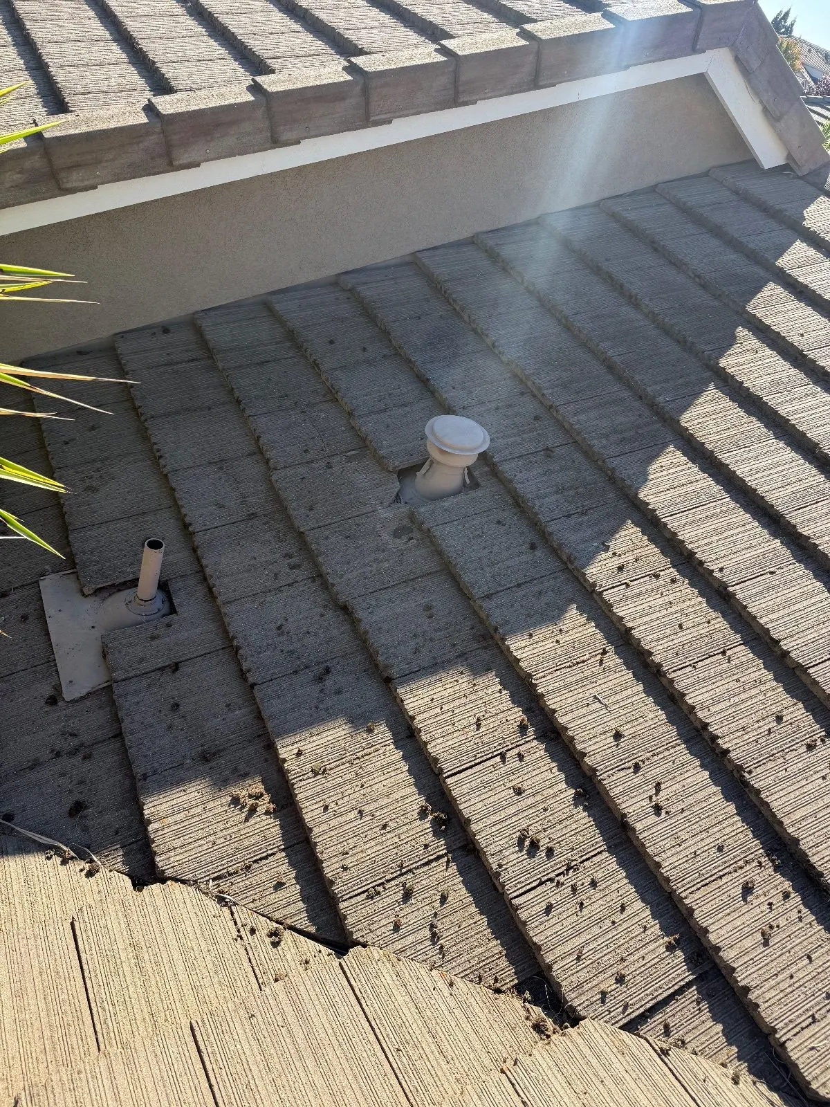 Before — Gutter Cleaning and Maintenance in Roseville, CA — October 2026