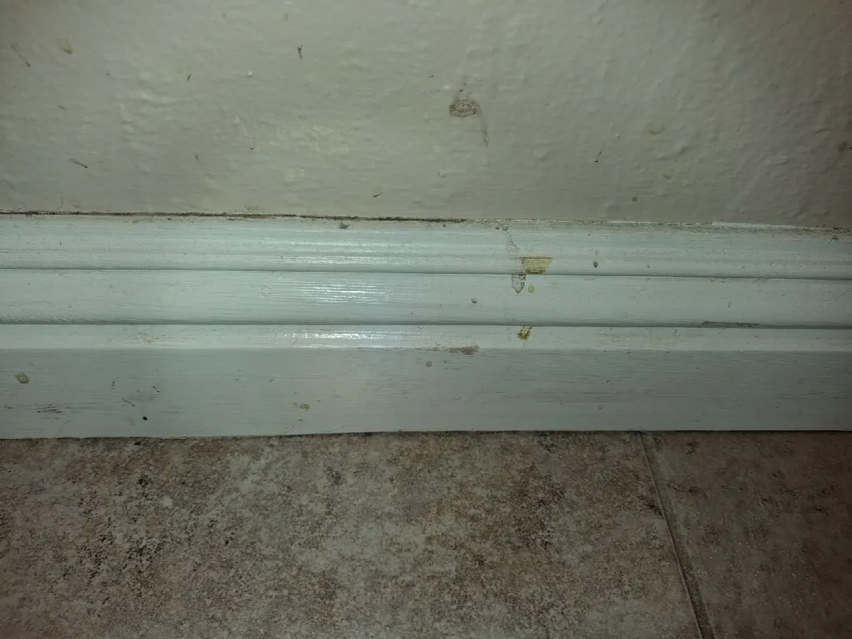 Before — House Cleaning in Orangevale, CA — October 2026