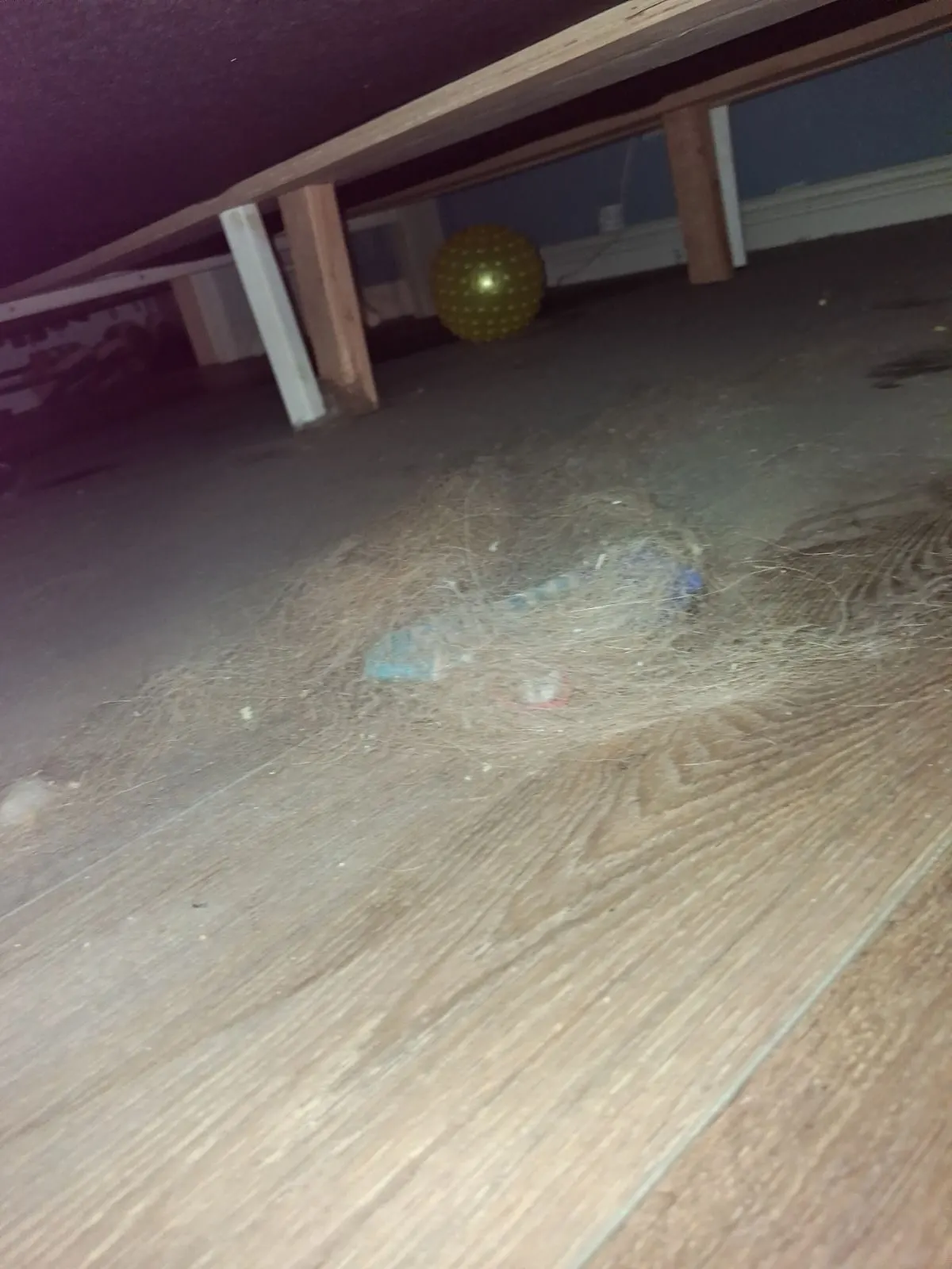 Before — House Cleaning in Orangevale, CA — October 2026