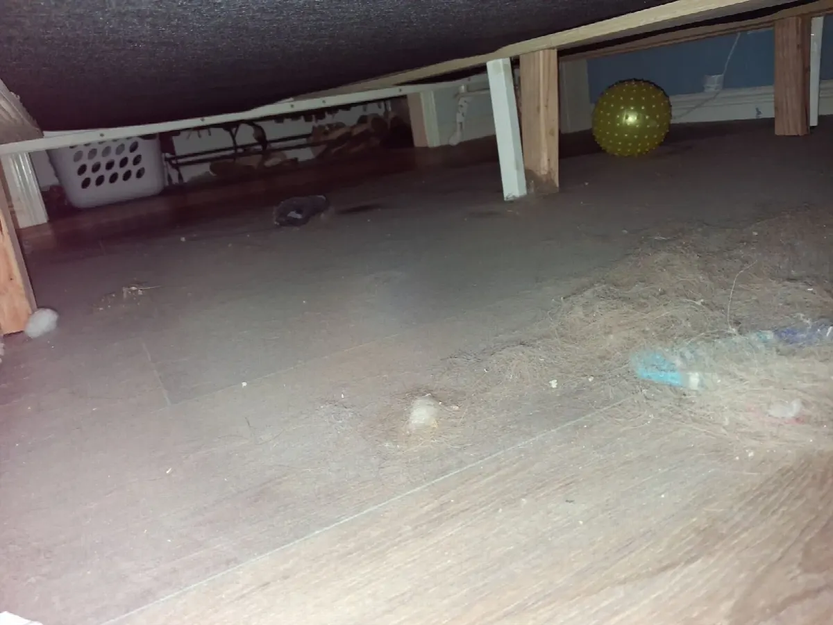 Before — House Cleaning in Orangevale, CA — October 2026