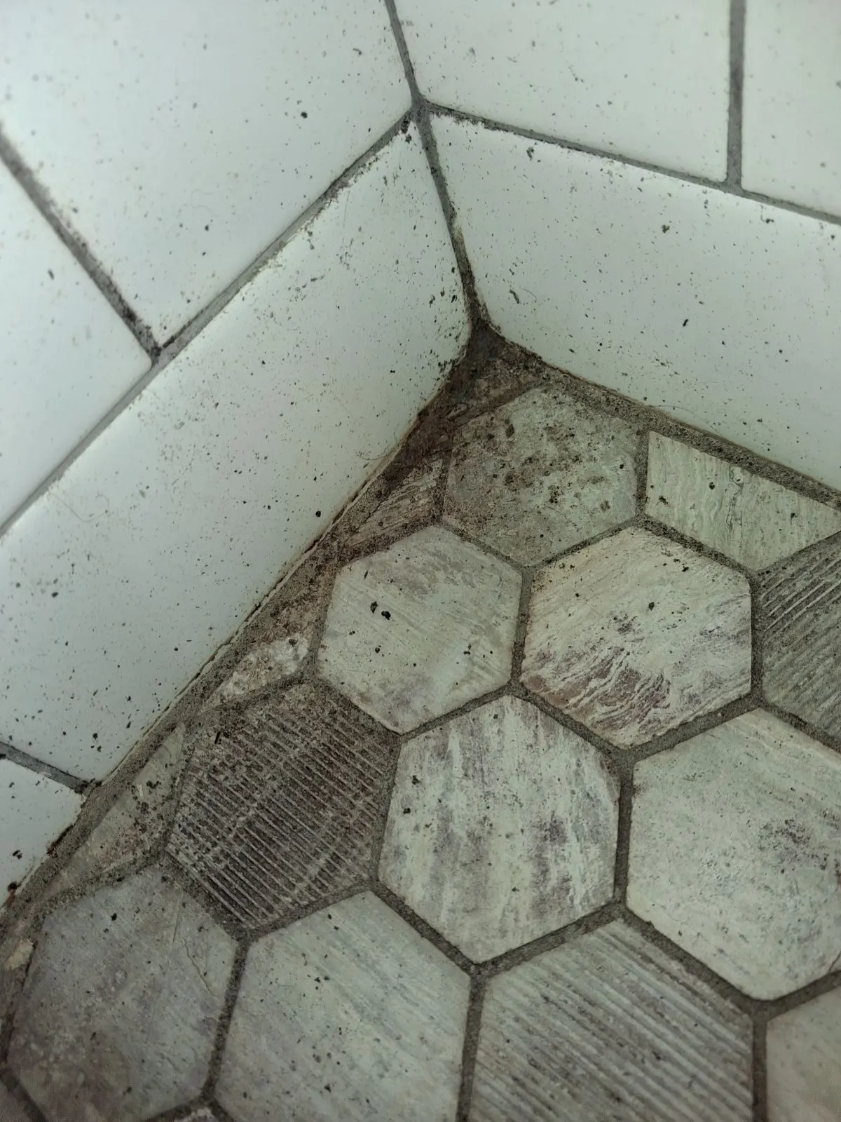 Before — House Cleaning in Orangevale, CA — October 2026