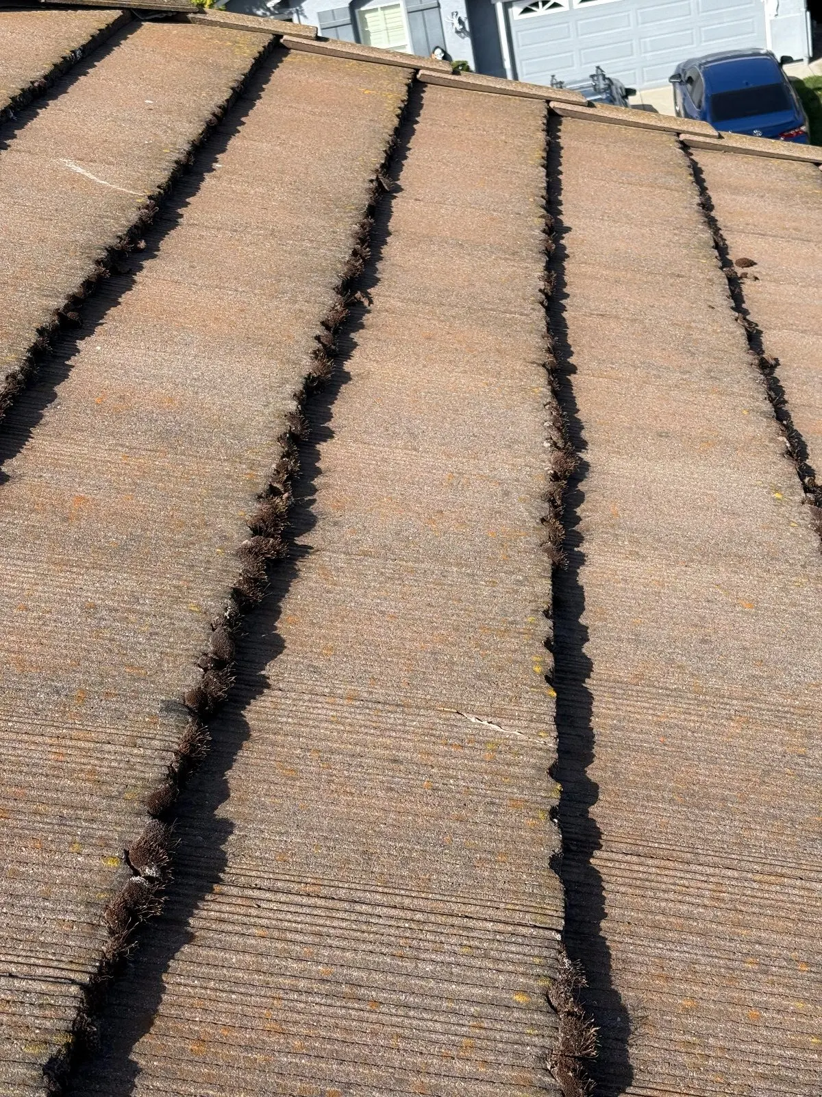 Before — Gutter Cleaning and Maintenance in Roseville, CA — October 2026