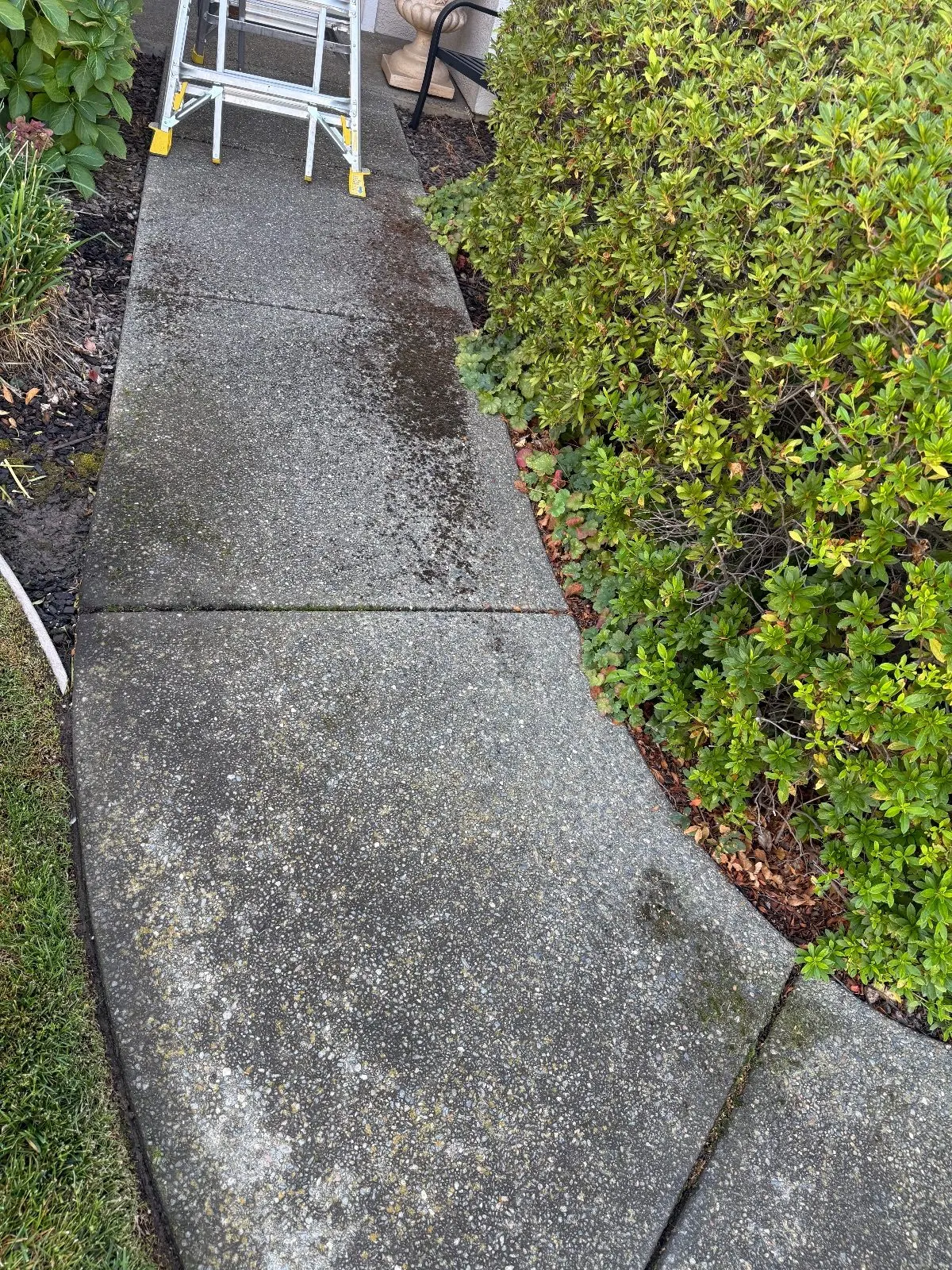 Before — Gutter Cleaning and Maintenance in Roseville, CA — October 2026