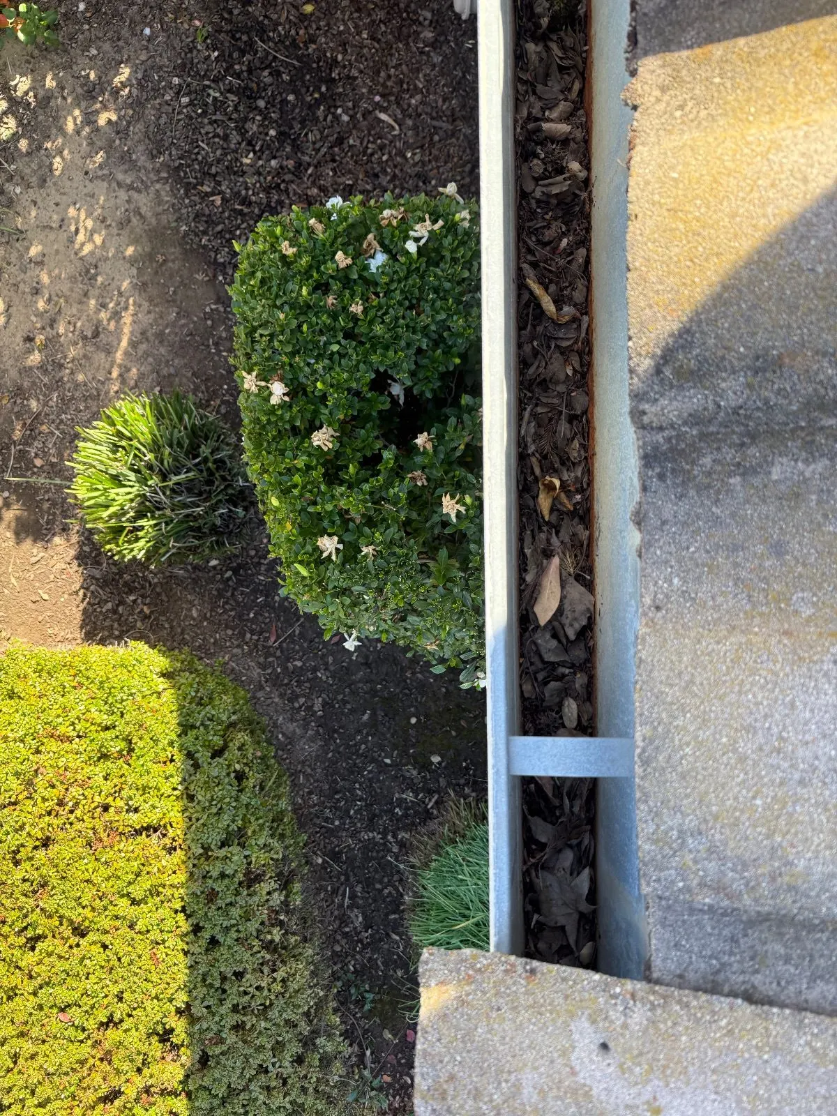 Before — Gutter Cleaning and Maintenance in Roseville, CA — October 2026