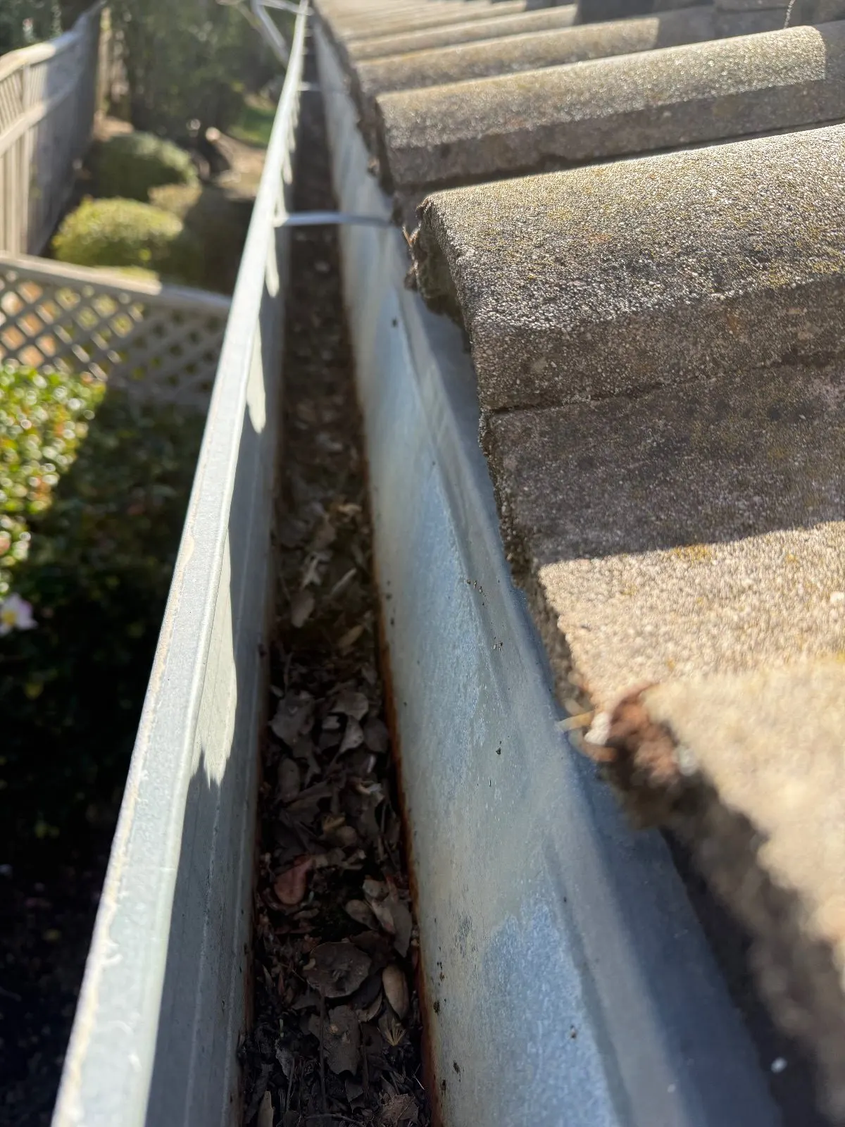 Before — Gutter Cleaning and Maintenance in Roseville, CA — October 2026