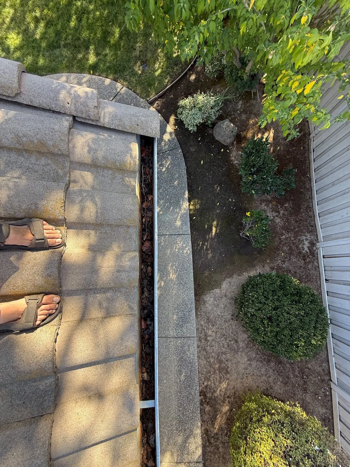 Before — Gutter Cleaning and Maintenance in Roseville, CA — October 2026