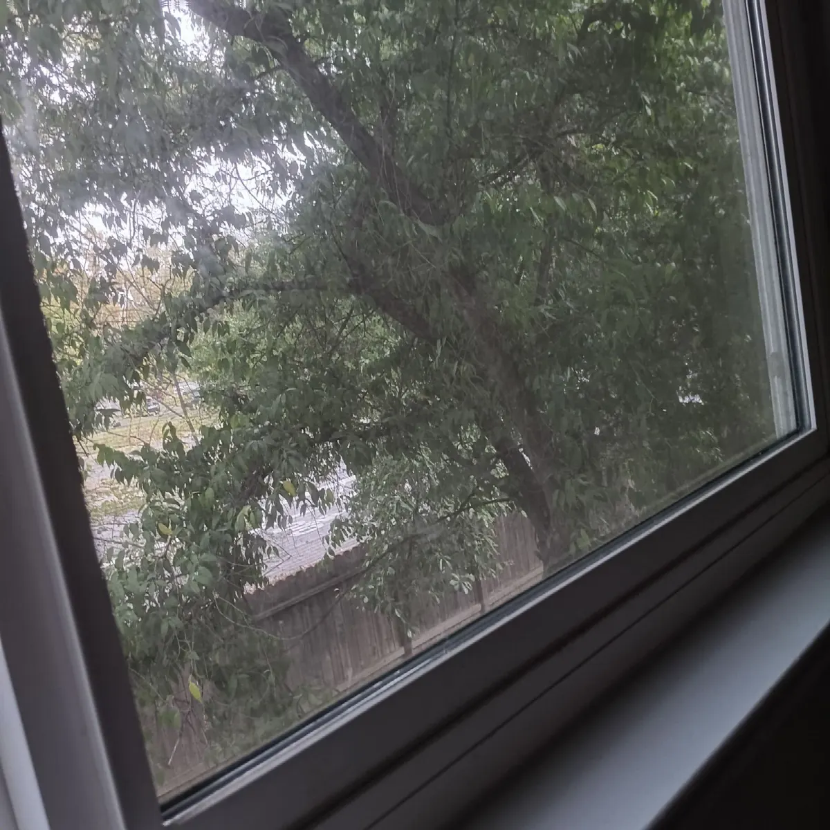 Before — House Cleaning in Davis, CA — October 2026