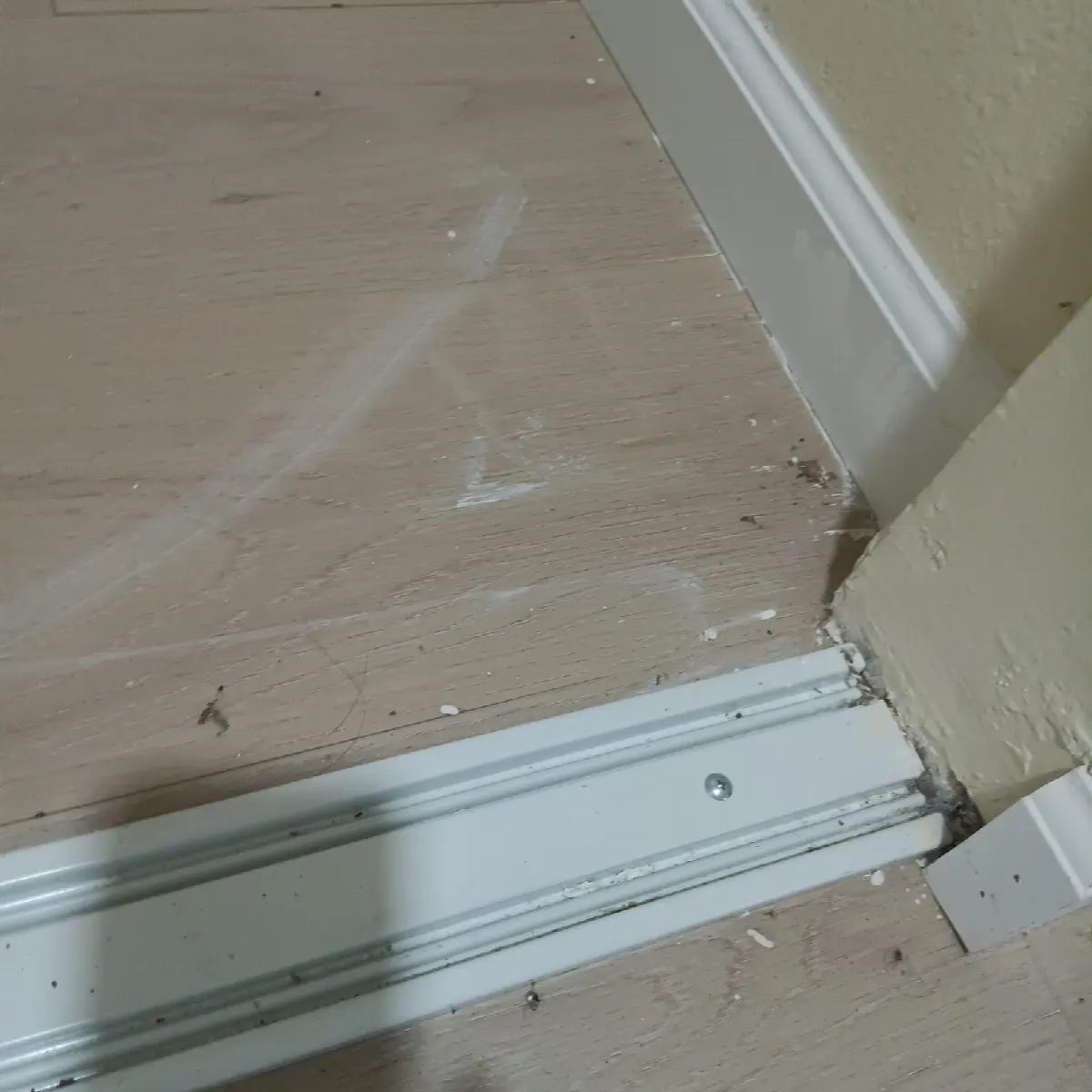 Before — House Cleaning in Davis, CA — October 2026