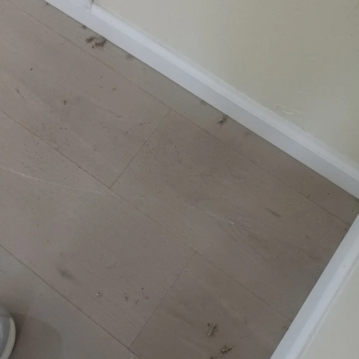 Before — House Cleaning in Davis, CA — October 2026