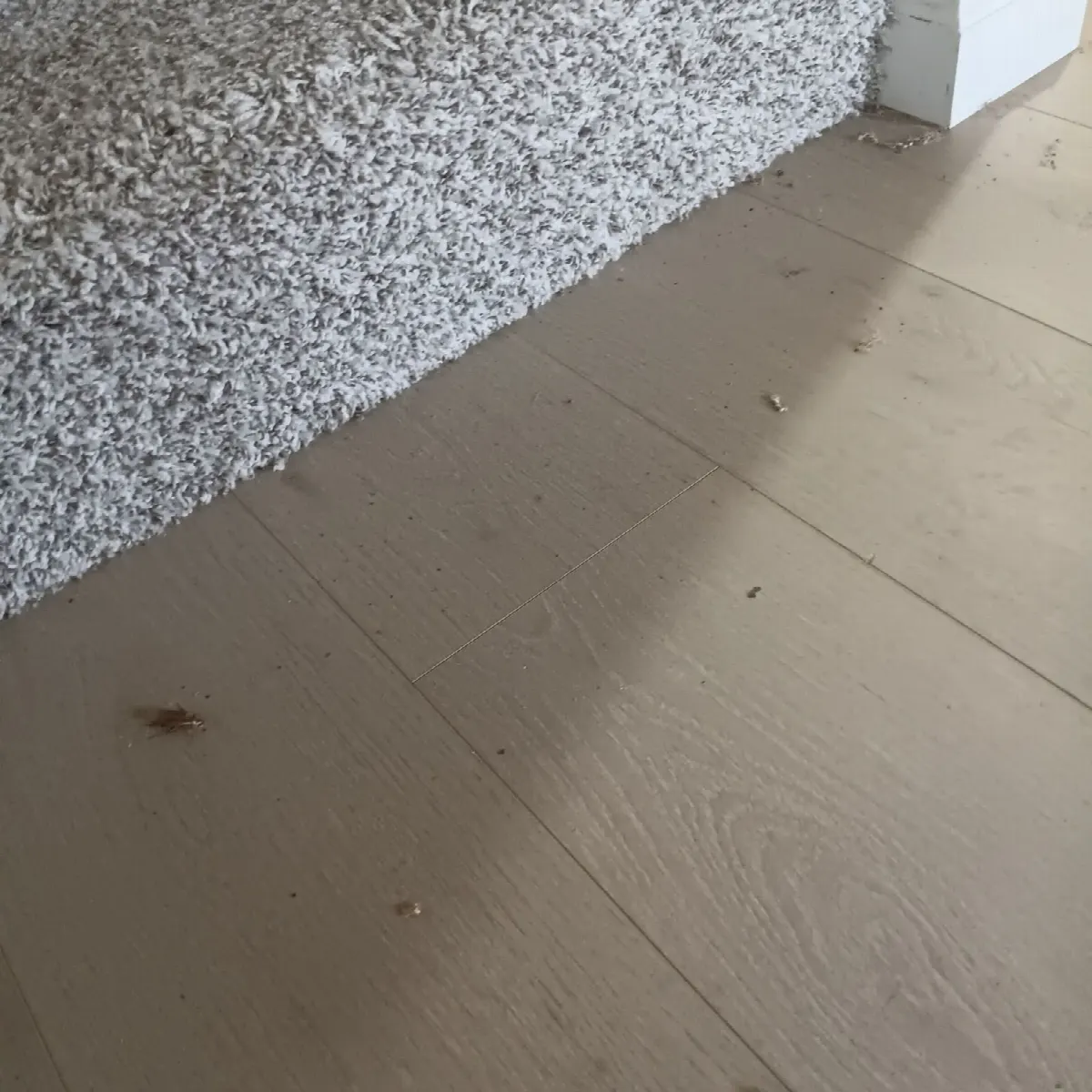 Before — House Cleaning in Davis, CA — October 2026
