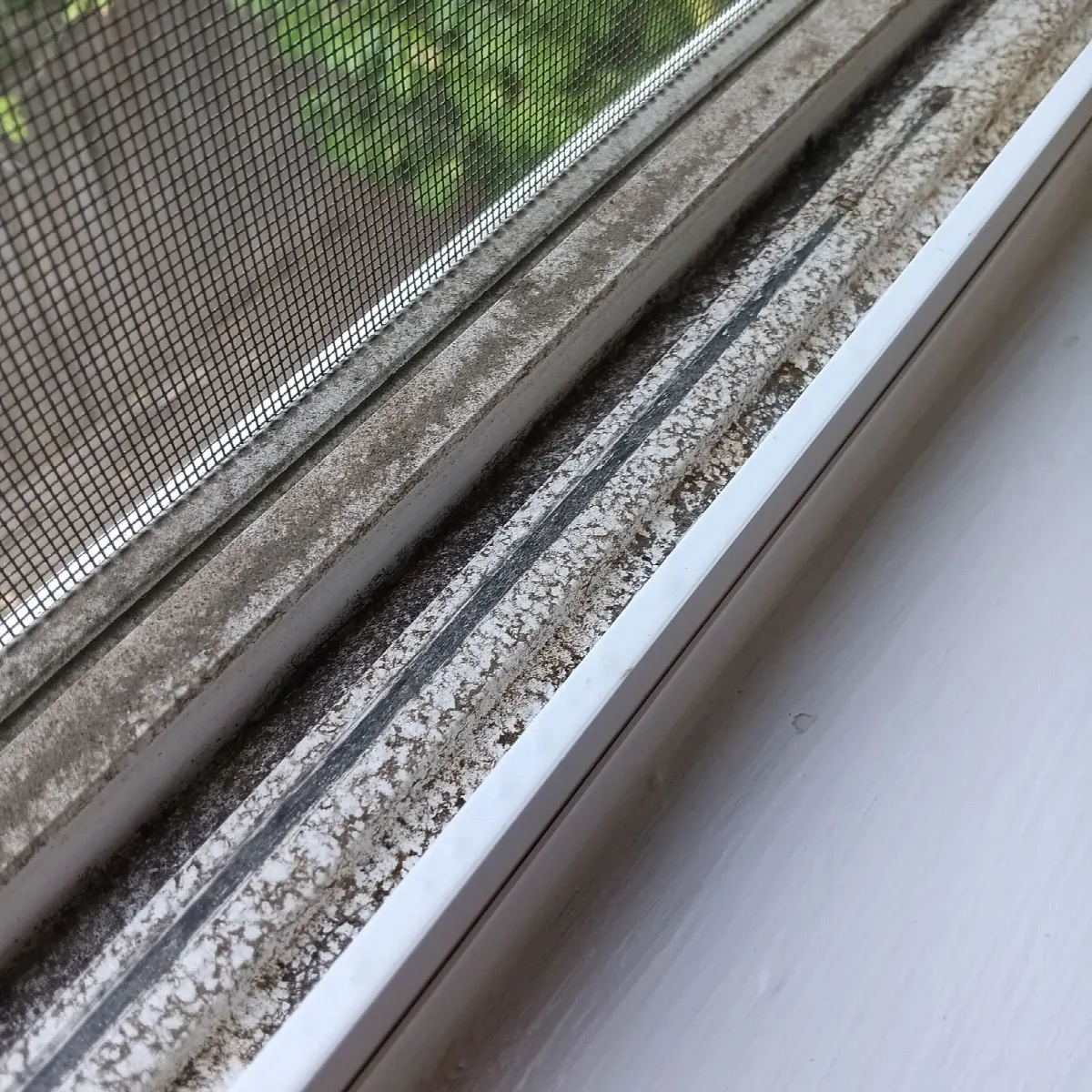 Before — House Cleaning in Davis, CA — October 2026