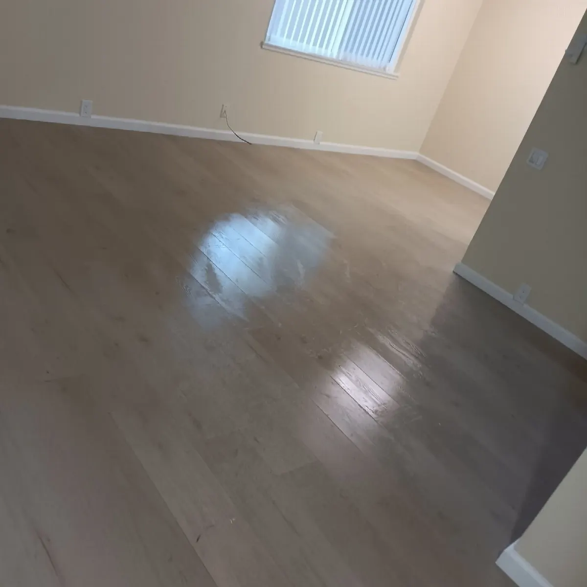After — House Cleaning in Davis, CA — October 2026