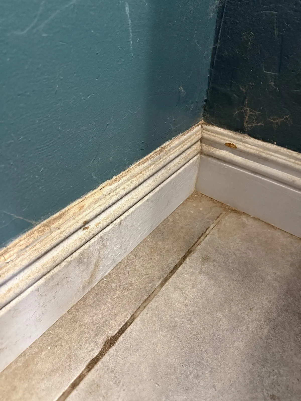 Before — House Cleaning in Sacramento, CA — October 2026