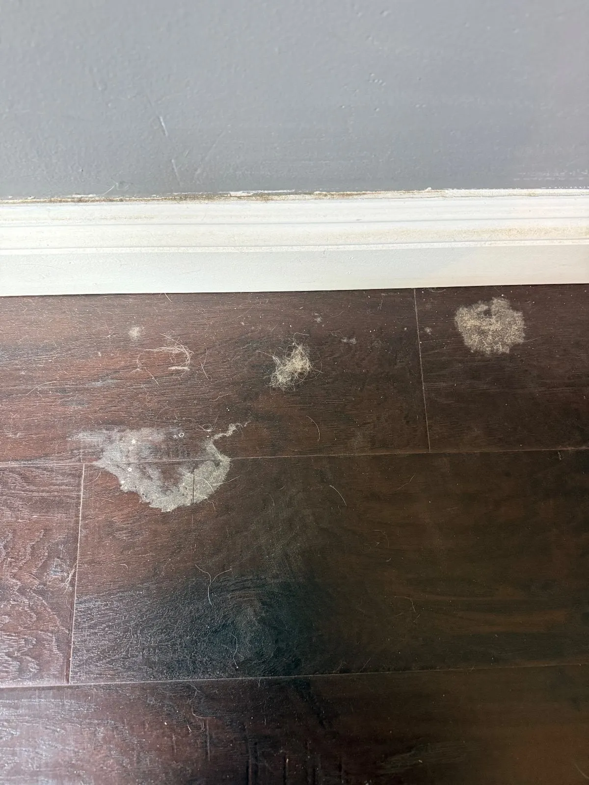 Before — House Cleaning in Sacramento, CA — October 2026