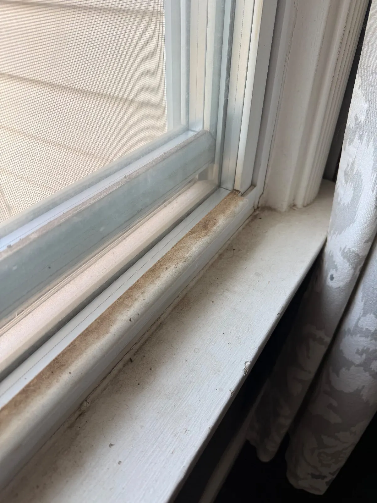 Before — House Cleaning in Sacramento, CA — October 2026