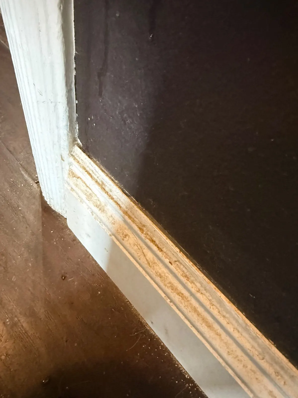 Before — House Cleaning in Sacramento, CA — October 2026