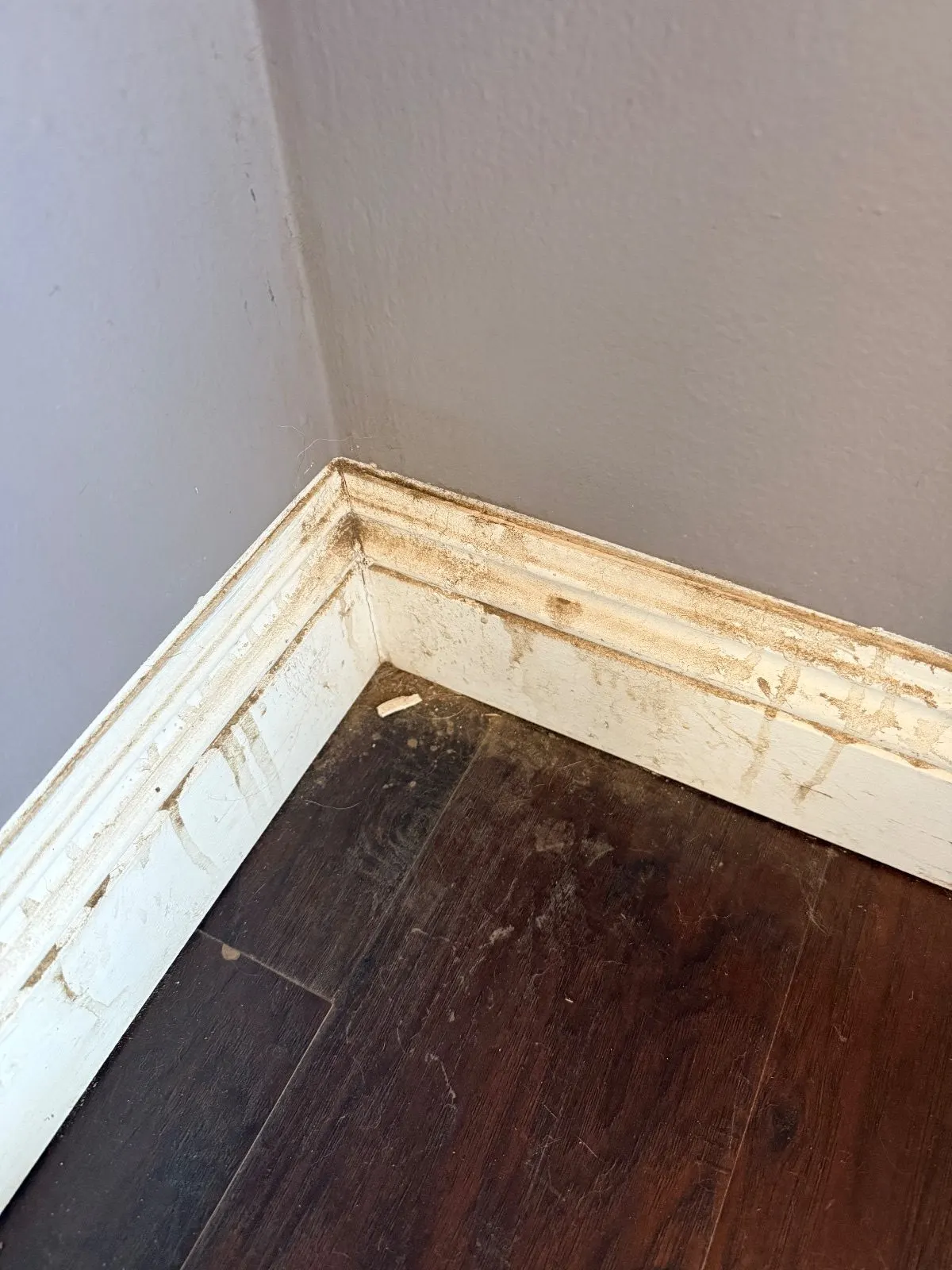 Before — House Cleaning in Sacramento, CA — October 2026