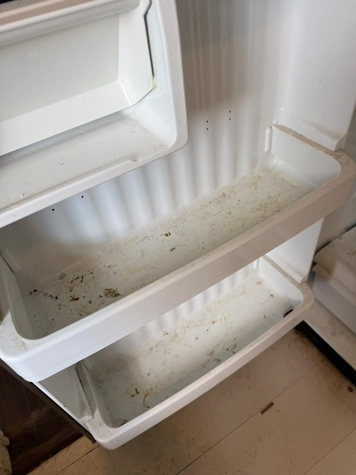 Before — House Cleaning in Sacramento, CA — October 2026