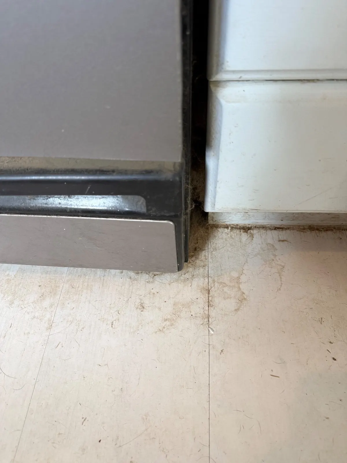 Before — House Cleaning in Sacramento, CA — October 2026