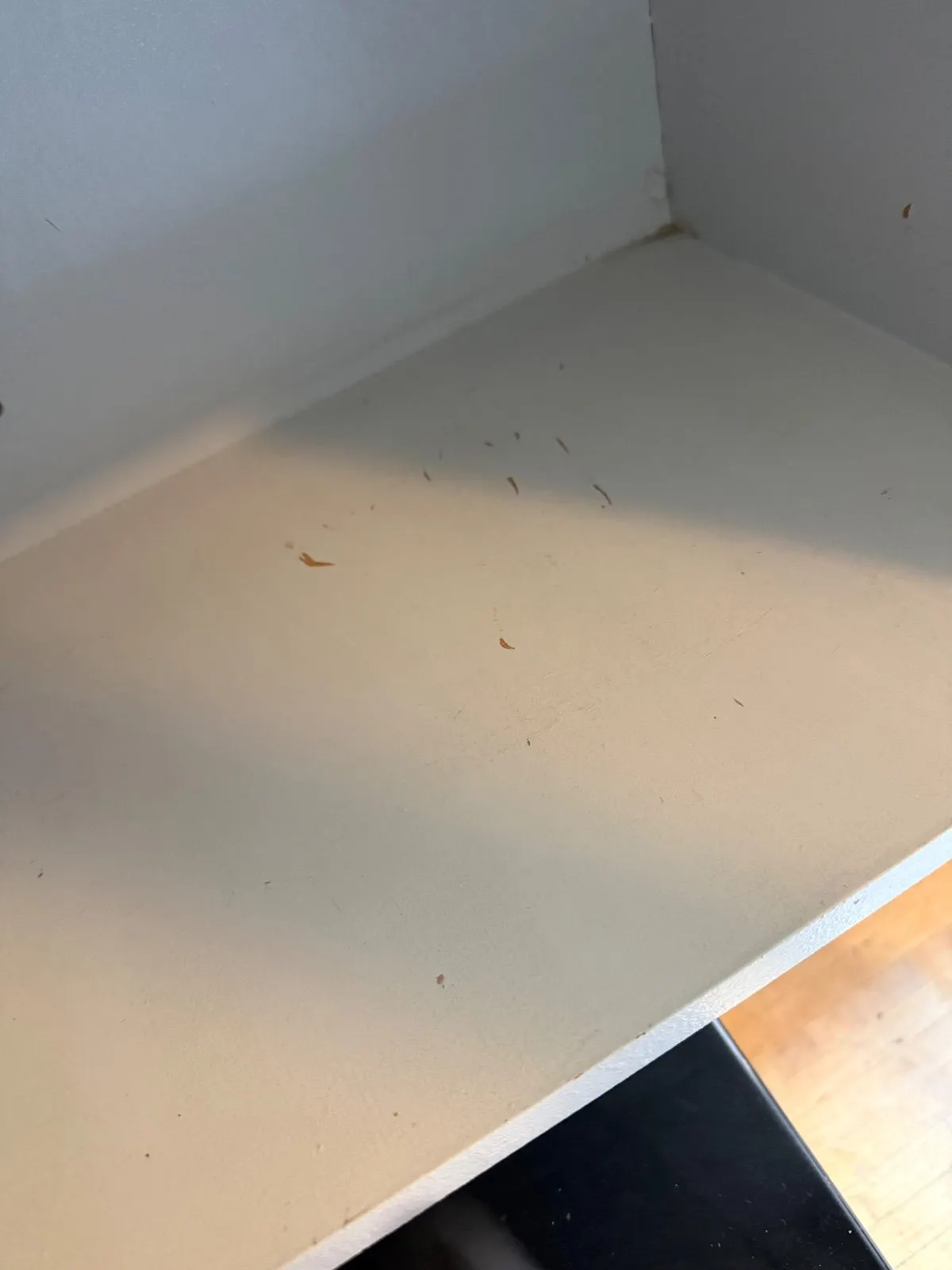 After — House Cleaning in Sacramento, CA — October 2026