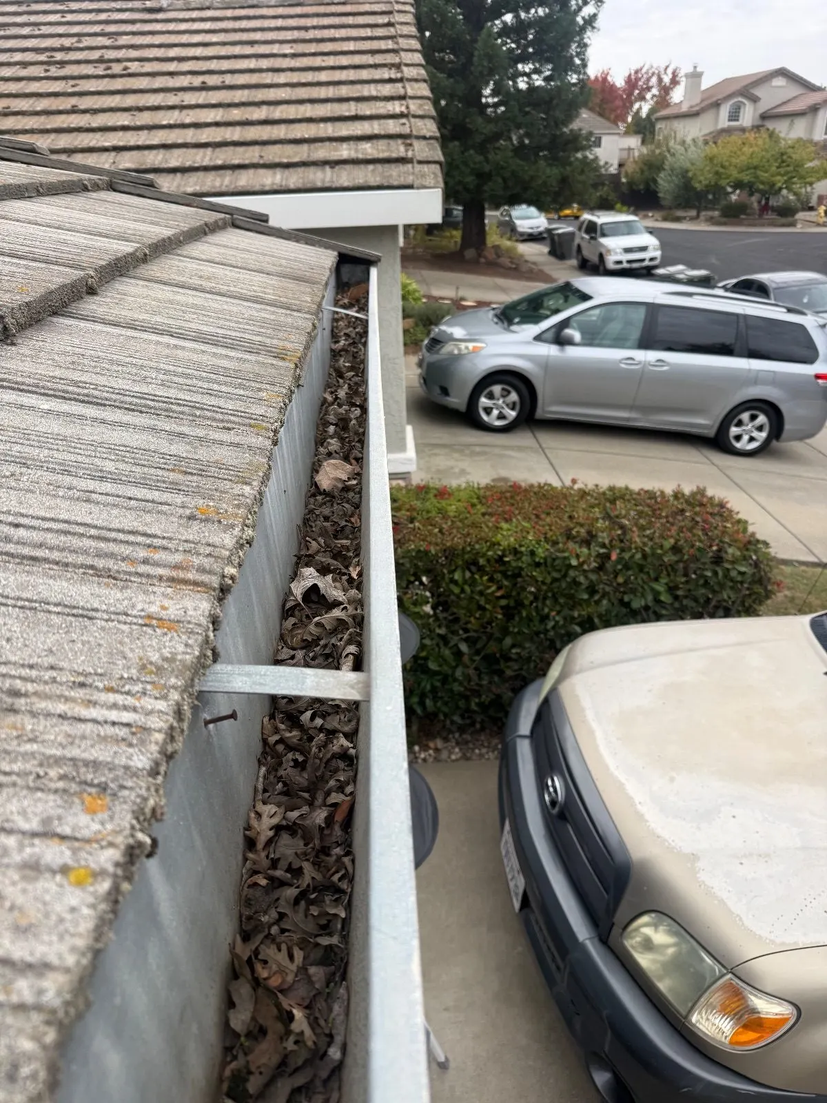 Before — Gutter Cleaning and Maintenance in Roseville, CA — October 2026