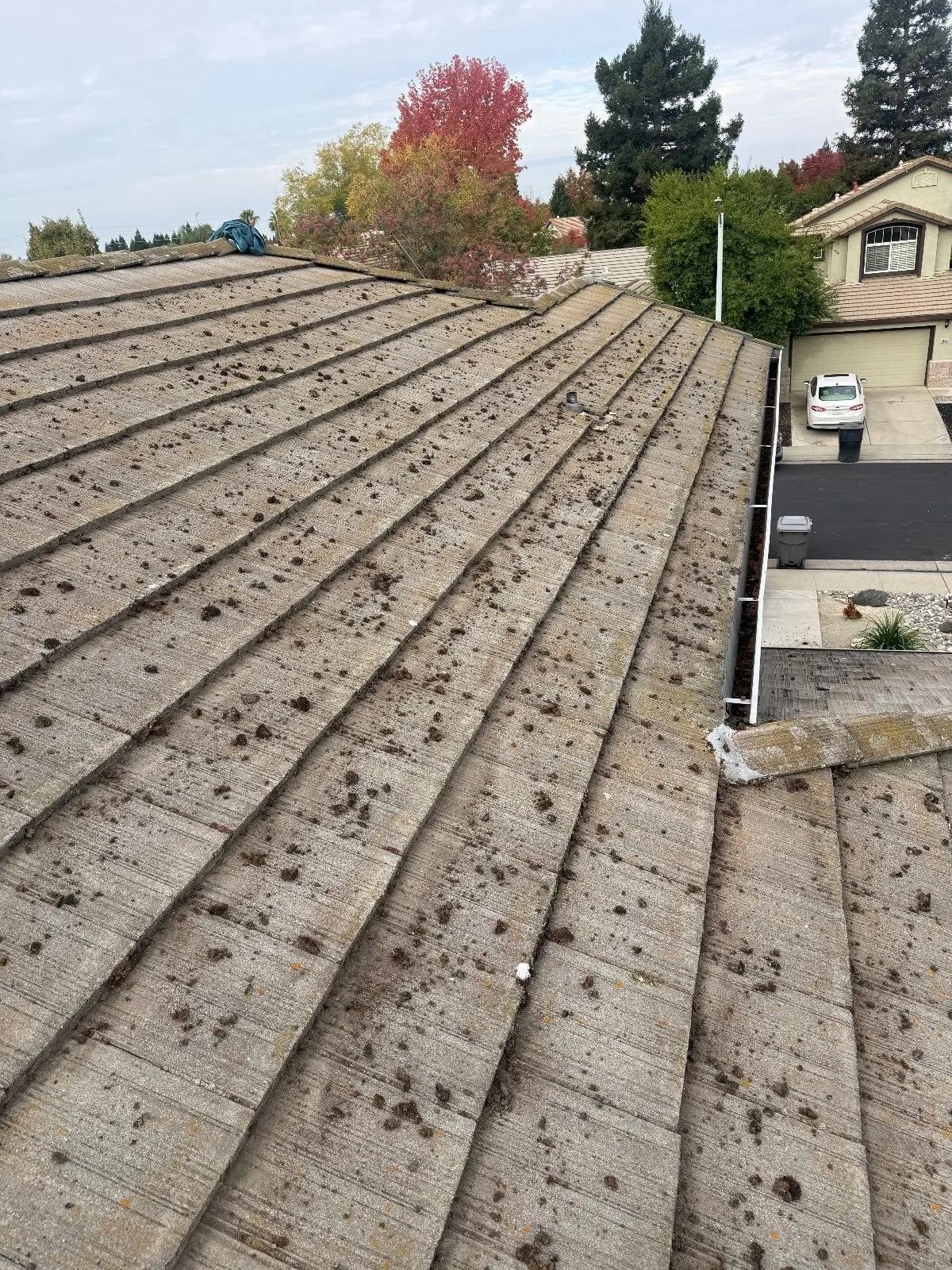 Before — Gutter Cleaning and Maintenance in Roseville, CA — October 2026